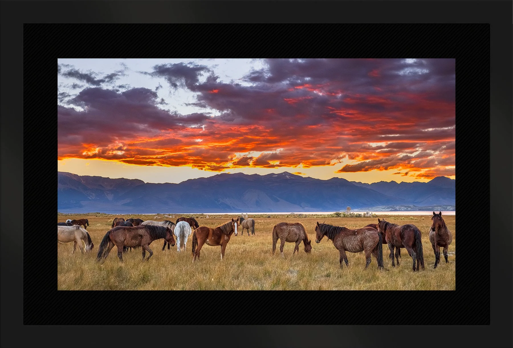 DeBock-As-Day-Ends-At-Mono-Lake-Framed-Matte-Black-Blk-Liner-1800x.jpg