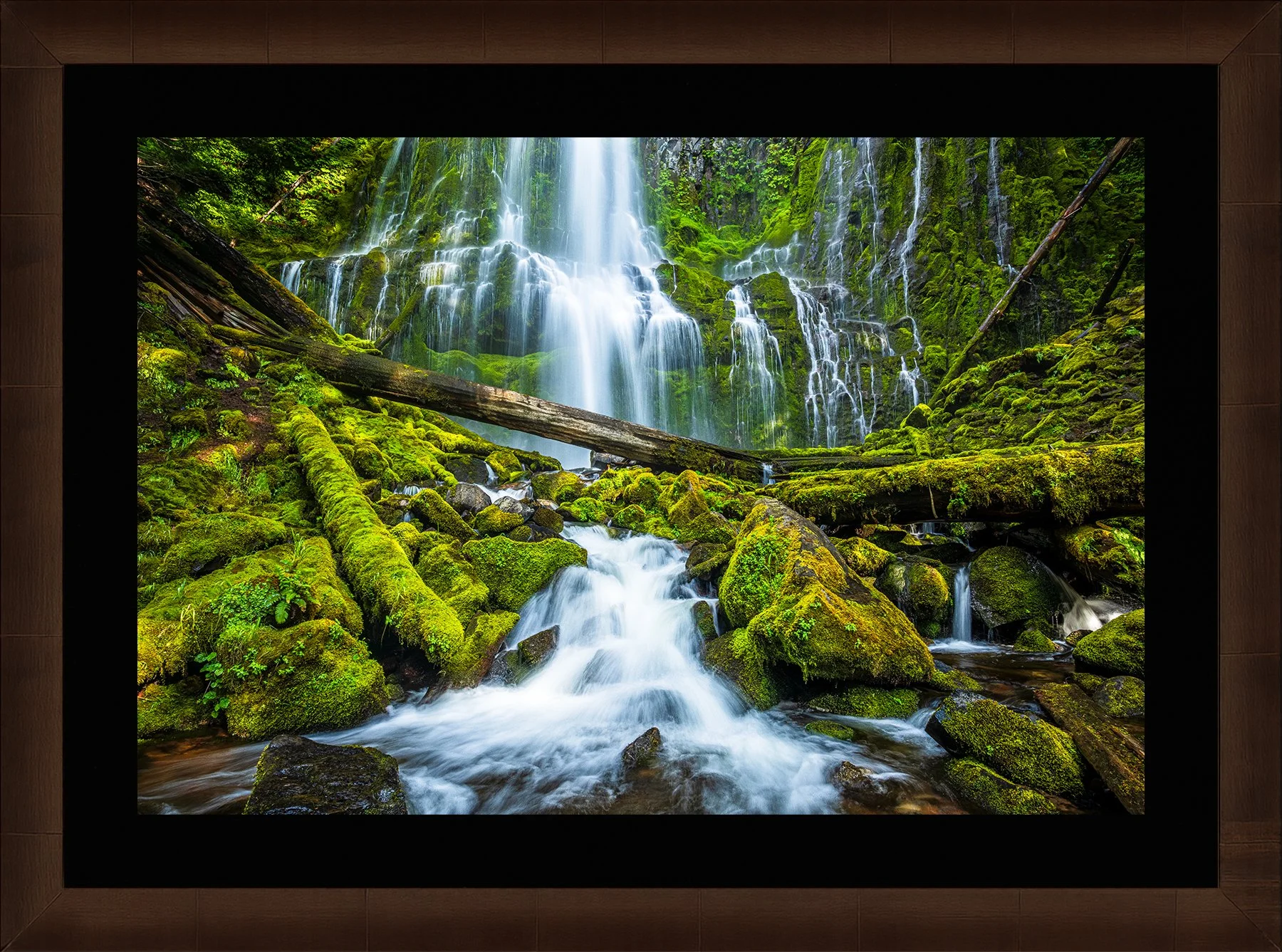 Blake-DeBock-Sanctuary-Framed-Sequoia-Blk-Liner-1800x.jpg