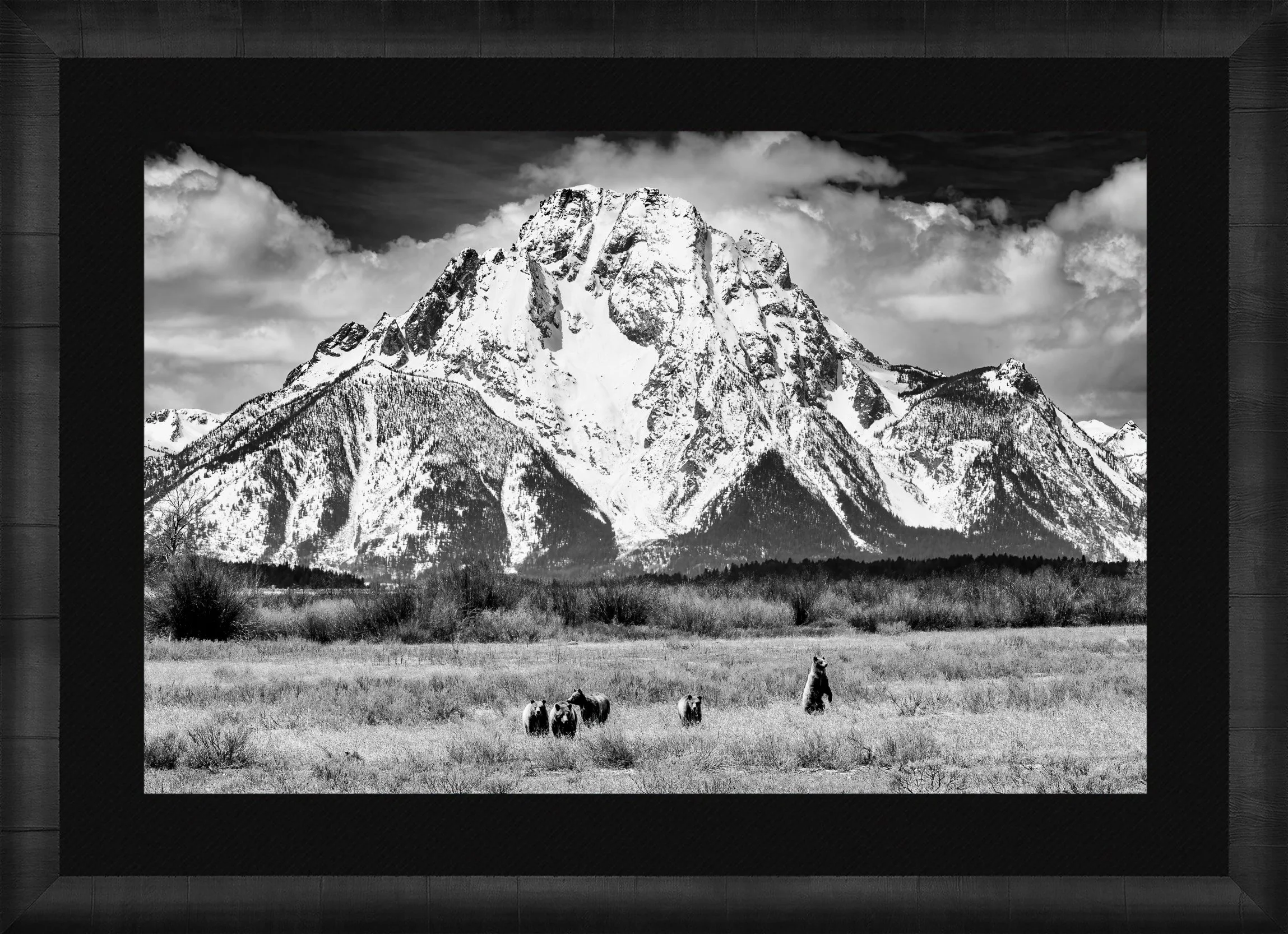 DeBock-Among-The-Mountains-Majesty-Framed-Dark-Ash-Blk-Liner.jpg