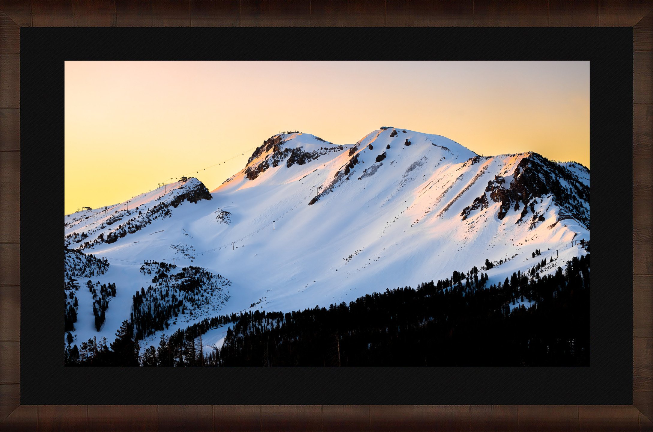 DeBock-Mammoth-Sunrise-Framed-Cigar-Leaf-Blk-Liner.jpg