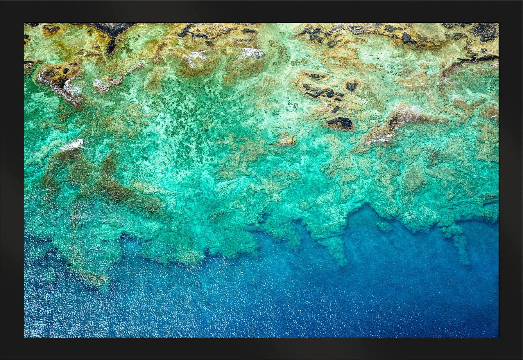 DeBock-Hawaiian-Reef-Framed-Matte-Black-1800x.jpg