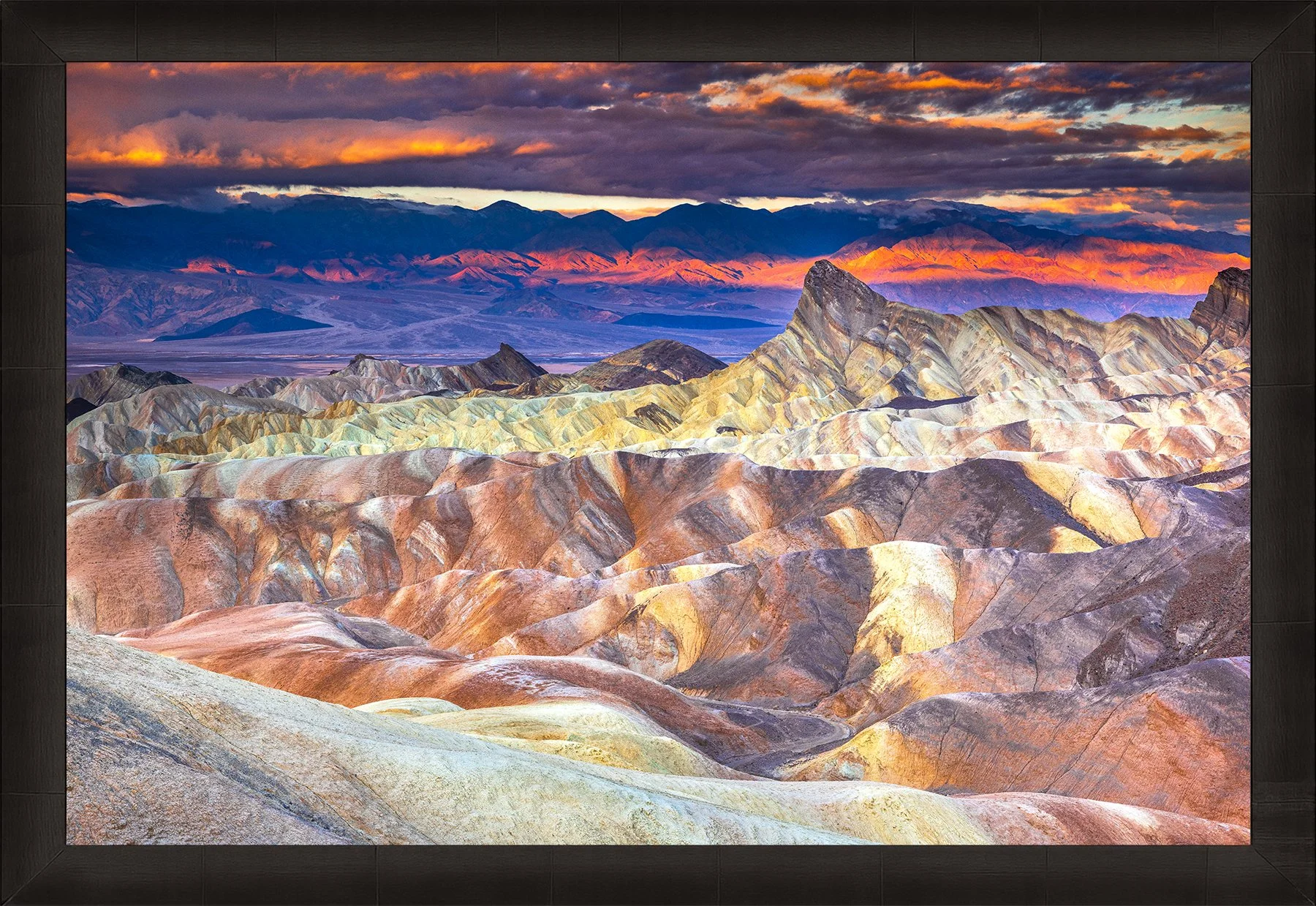 DeBock-Desert Paintbrush-Framed-Dark-Ash-1800x.jpg