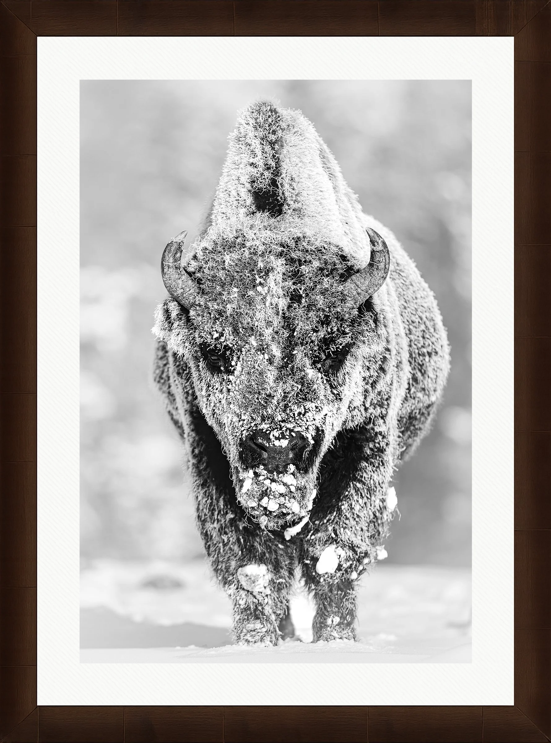 Blake-DeBock-28-Below_web-Framed-Sequoia-Leaf-Wht-Liner_web.jpg