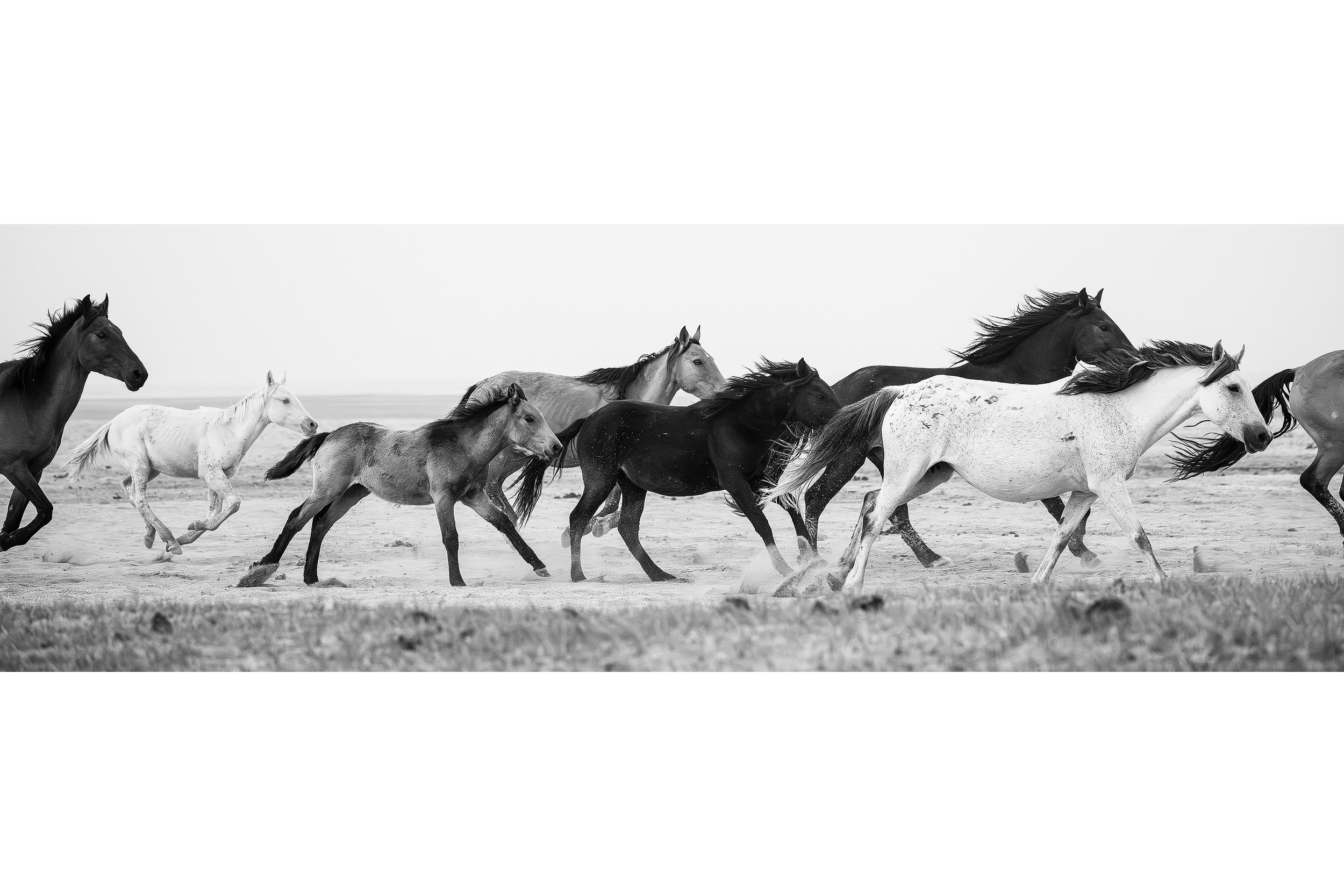 RUNNING FREE ✨