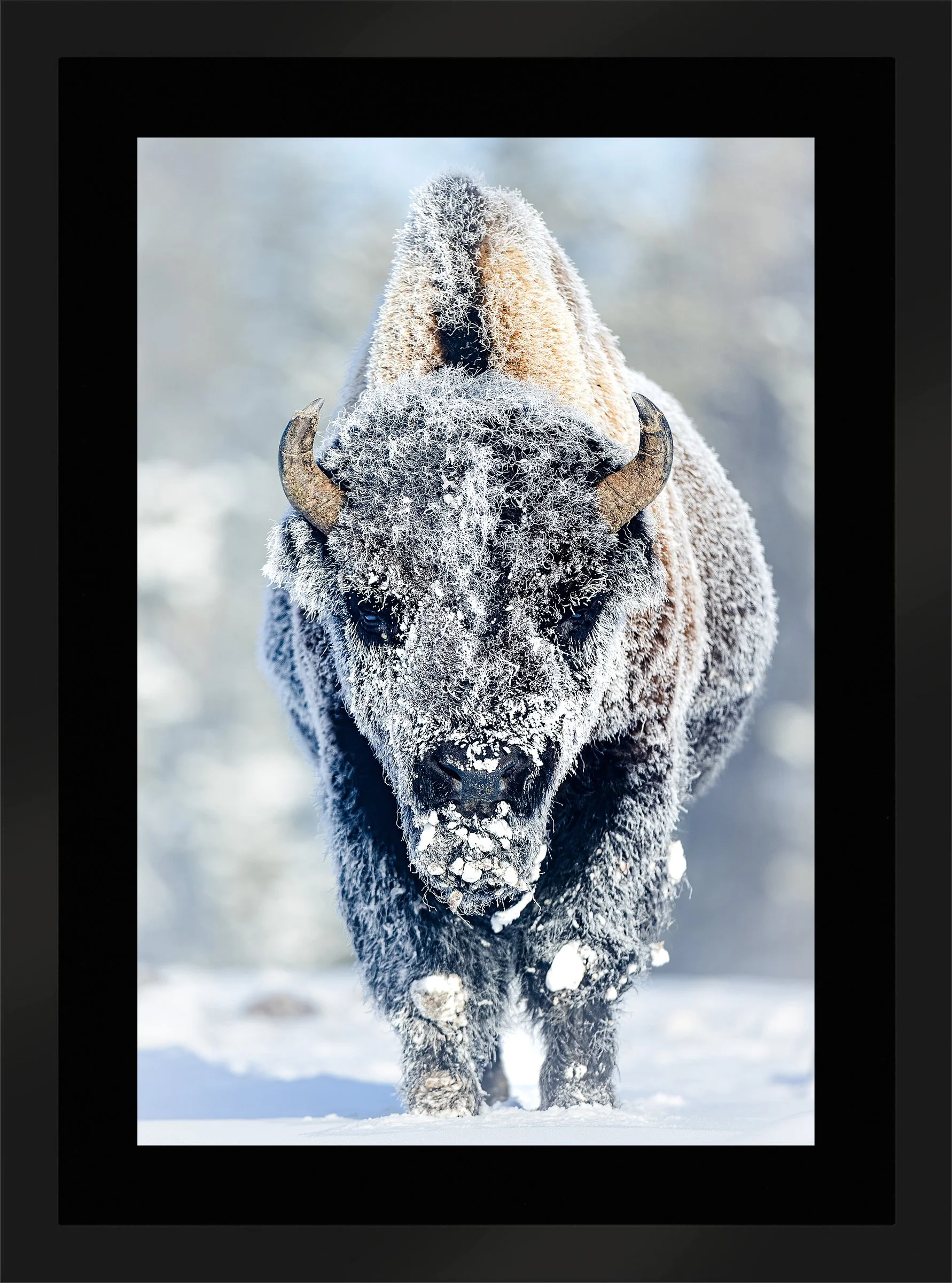 Blake-DeBock-Revenant_web-Framed-Matte-Black-Blk-Liner_web.jpg