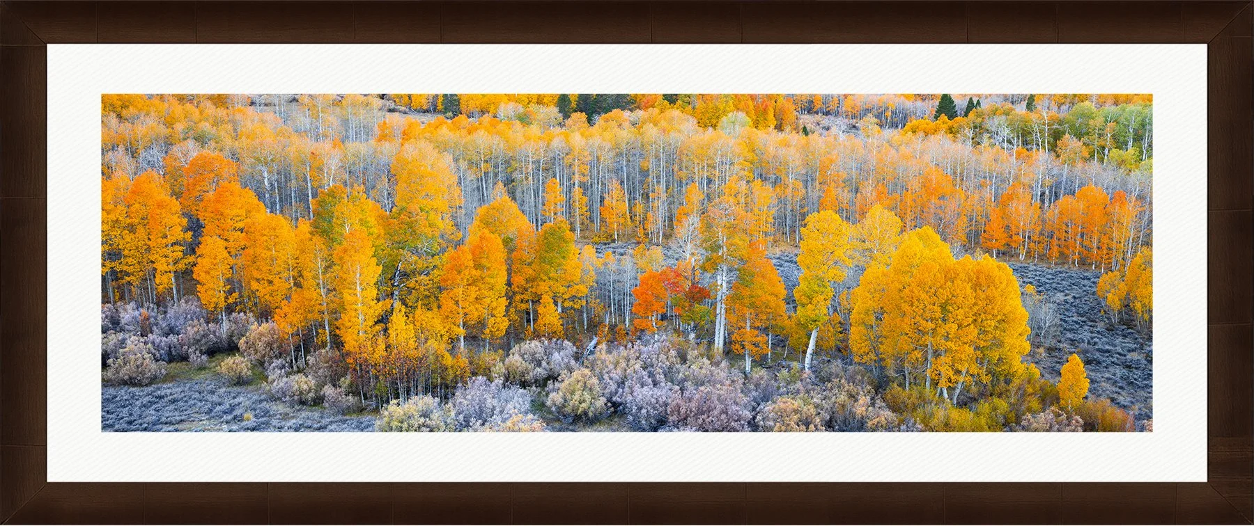 DeBock-Sierra-Aspens-Framed-Cigar-Leaf-Wht-Liner-1800x.jpg