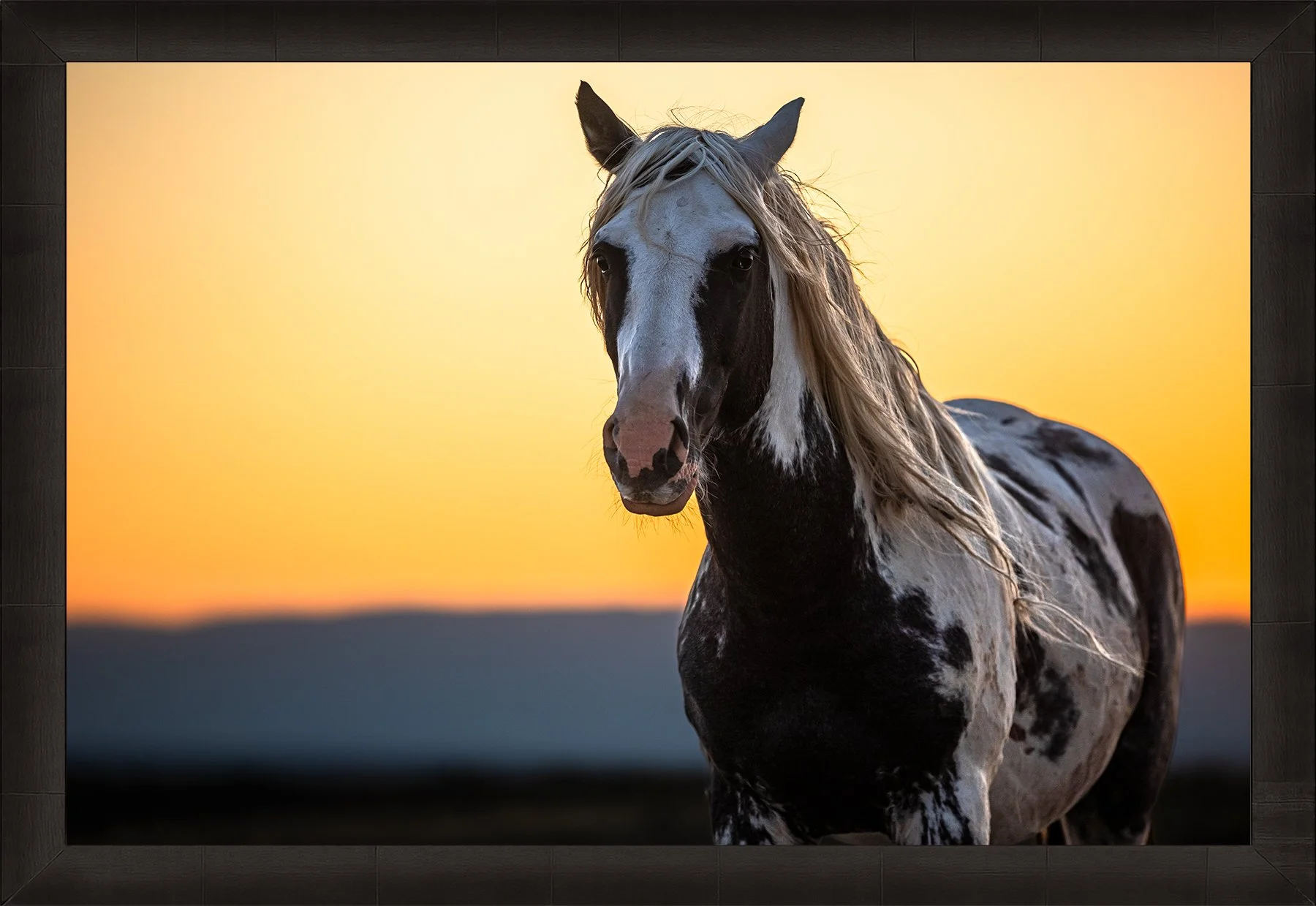 DeBock-The-Stallion-Framed-Dark-Ash-1800x.jpg