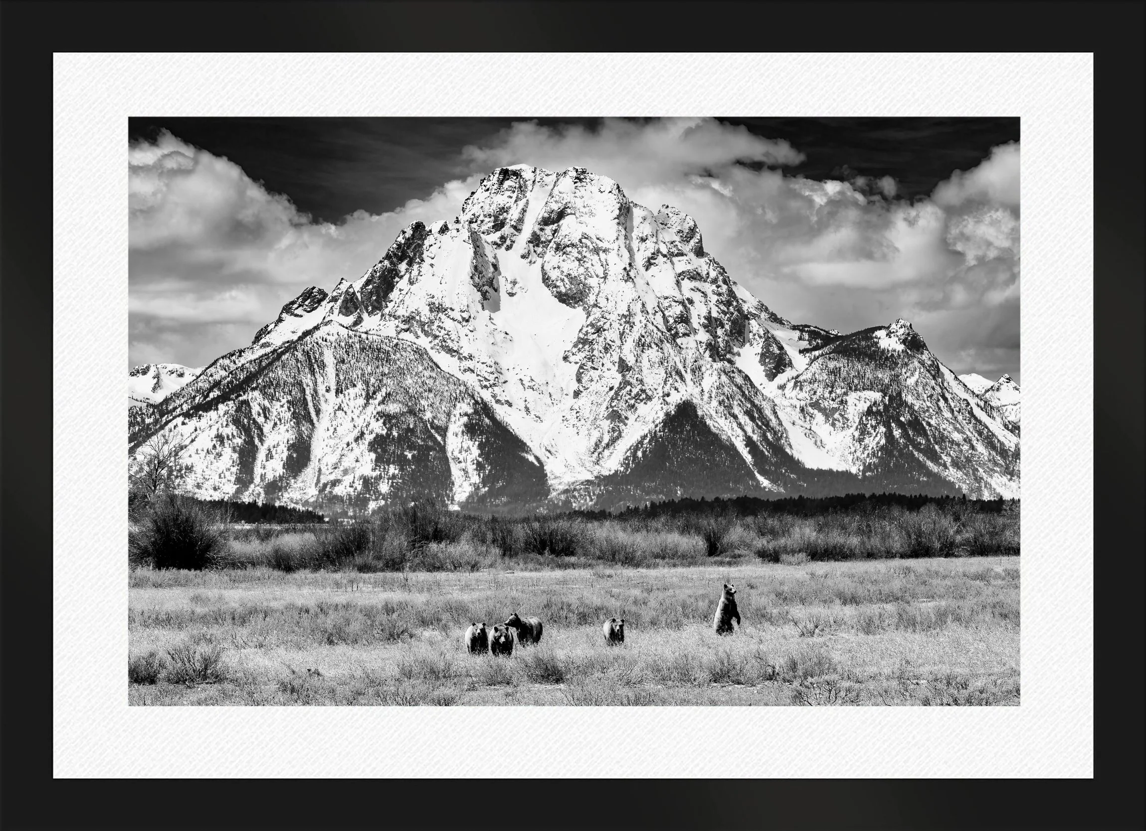 DeBock-Among-The-Mountains-Majesty-Framed-Matte-Black-Wht-Liner.jpg