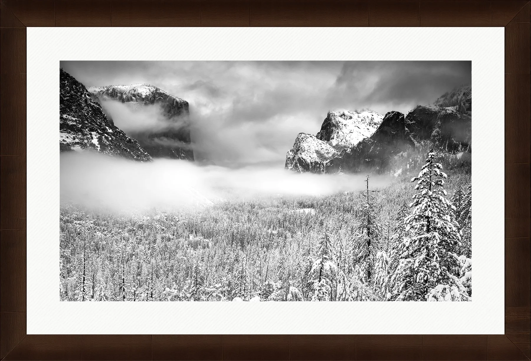 DeBock-Yosemite-Framed-Cigar-Leaf-Wht-Liner-1800x.jpg