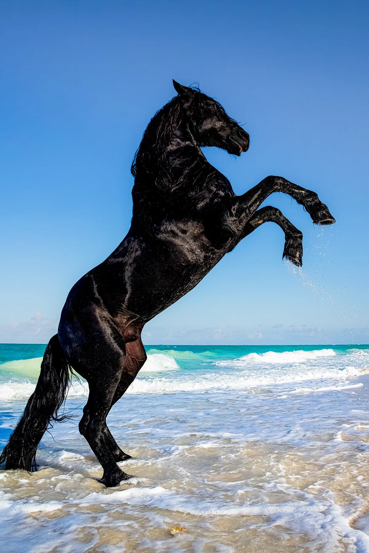 Blake-DeBock-Ocean-Dance-1800x.jpg