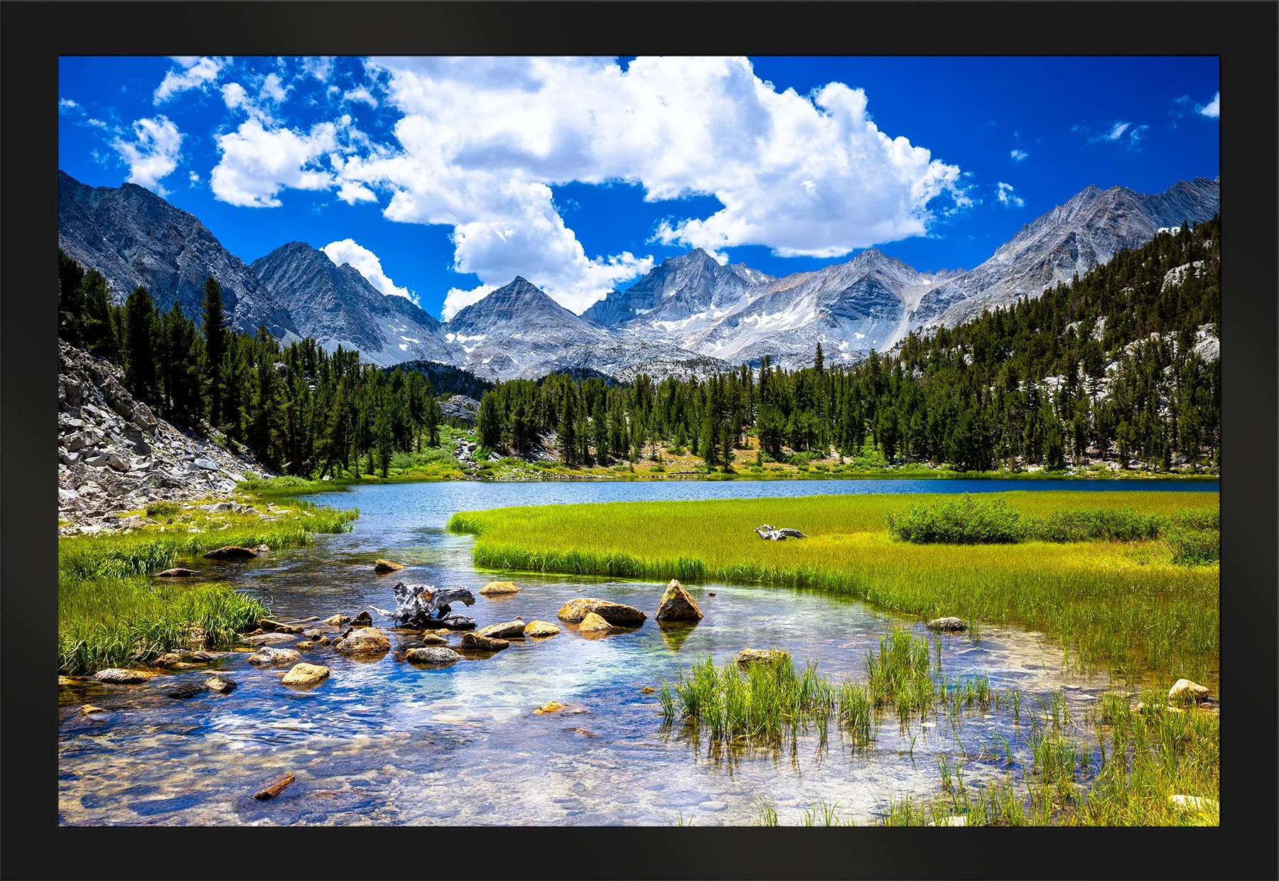 DeBock-Spring-in-the-Little-Lakes-Valley-Framed-Matte-Black-1800x.jpg