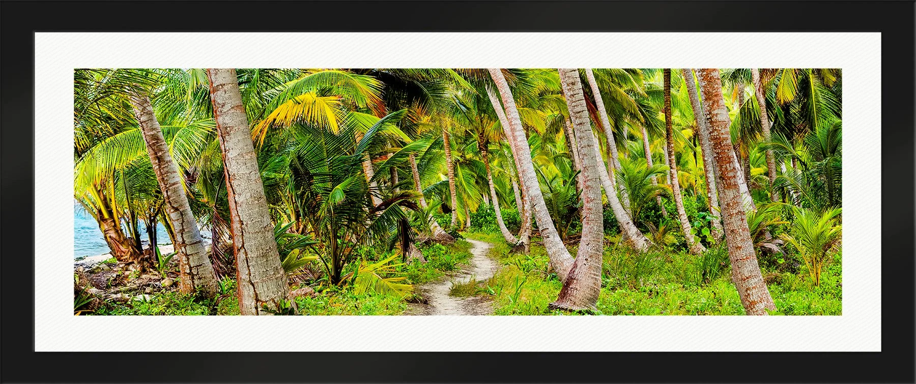 DeBock-Coconut-Isle-Framed-Matte-Black-Wht-Liner-1800x.jpg