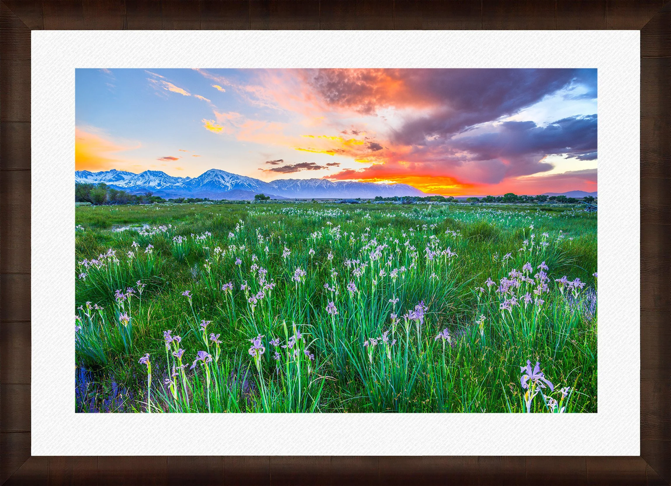 Framed-Cigar-Leaf-Wht-Liner.jpg