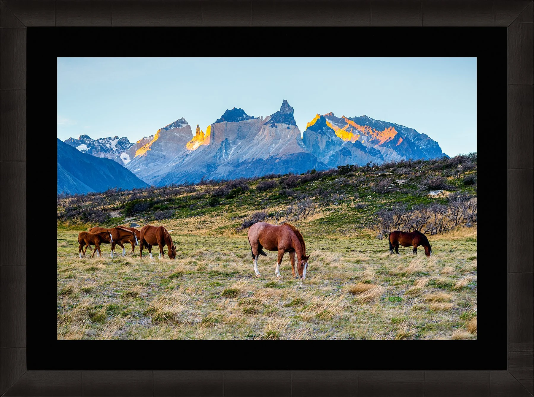 DeBock-Patagonian Horses-Framed-Dark-Ash-Blk-Liner-1800x.jpg