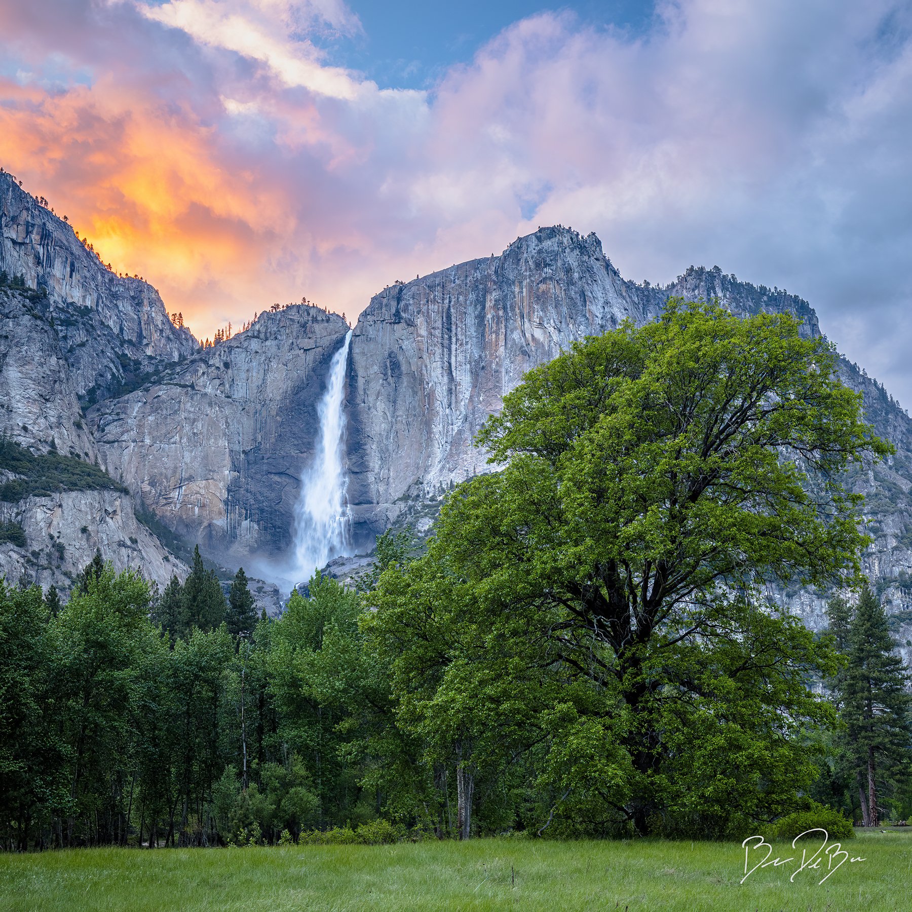YOSEMITE FALLS ⭐️