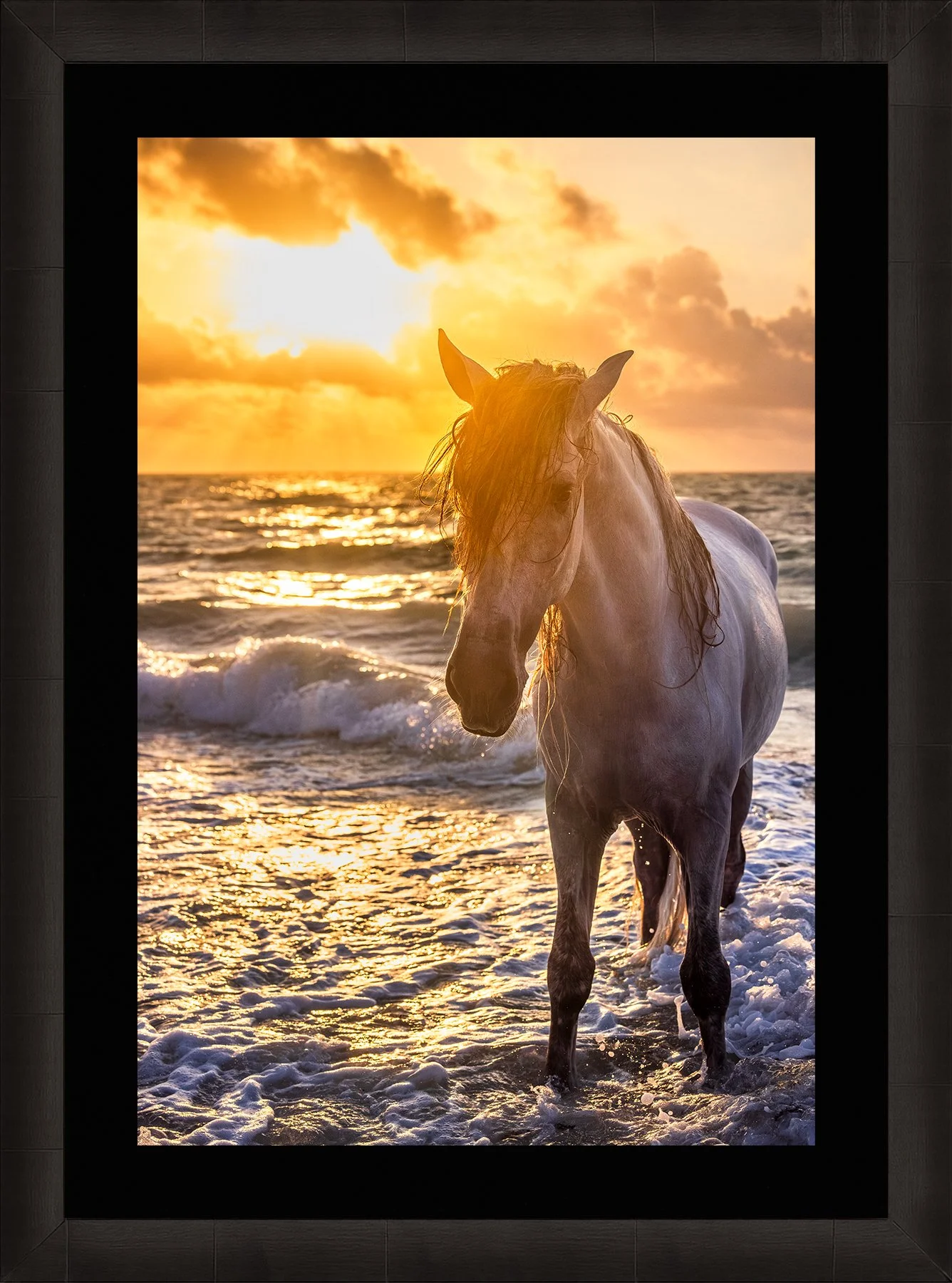 DeBock-Sea-Stallion-Framed-Dark-Ash-Blk-Liner-1800x.jpg