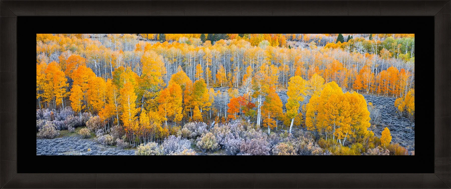 DeBock-Sierra-Aspens-Framed-Dark-Ash-Blk-Liner-1800x.jpg
