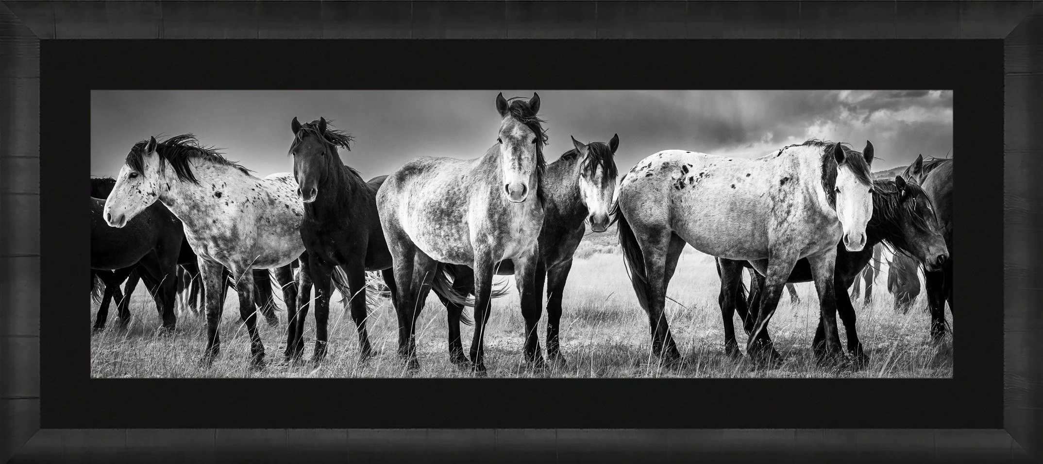DeBock-Wild-Horses-Framed-Dark-Ash-Blk-Liner.jpg