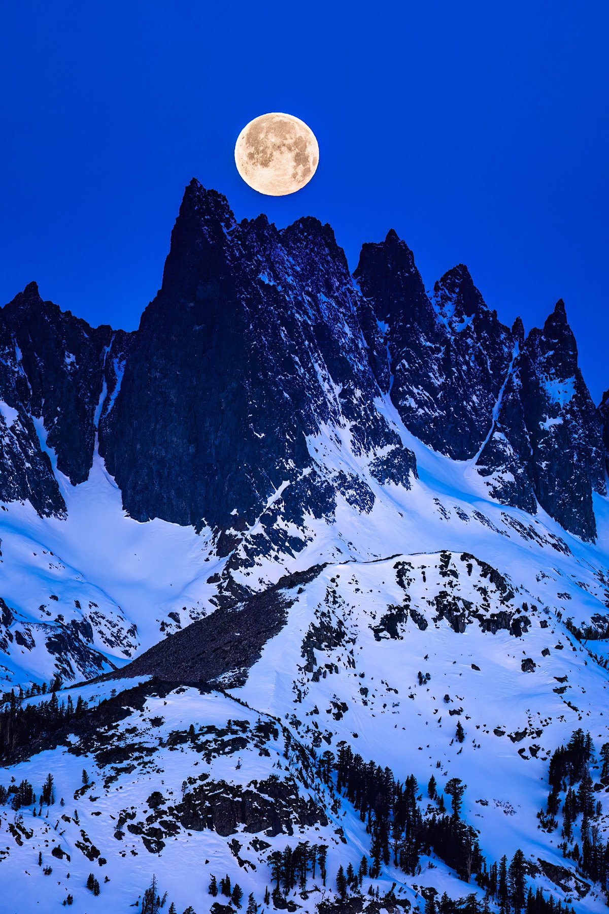 Blake-DeBock-Minaret-Moon-CUSTOM-Vertical-1800x.jpg