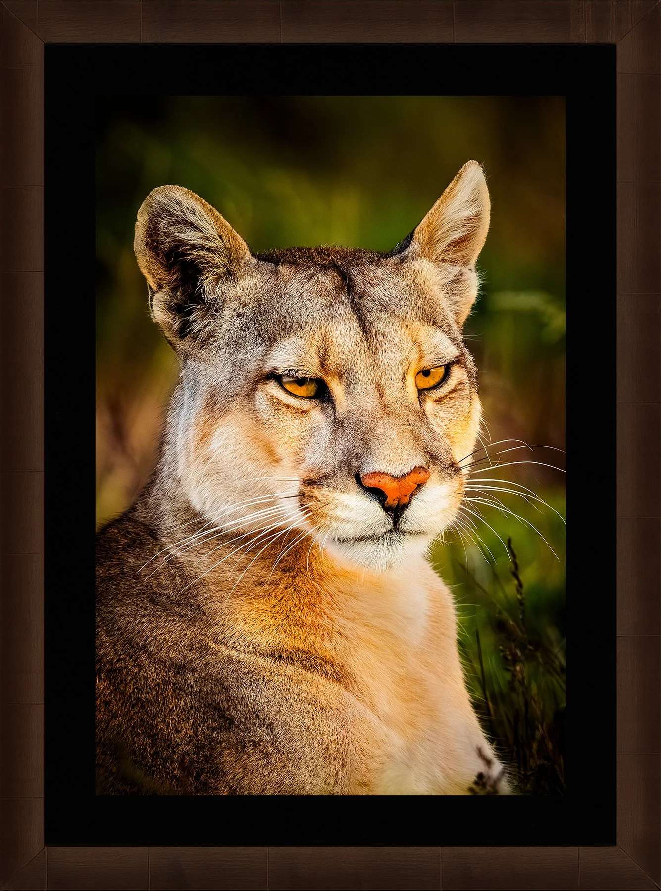 Blake-DeBock-Wild-Beauty-Framed-Sequoia-Leaf-Blk-Liner_web.jpg