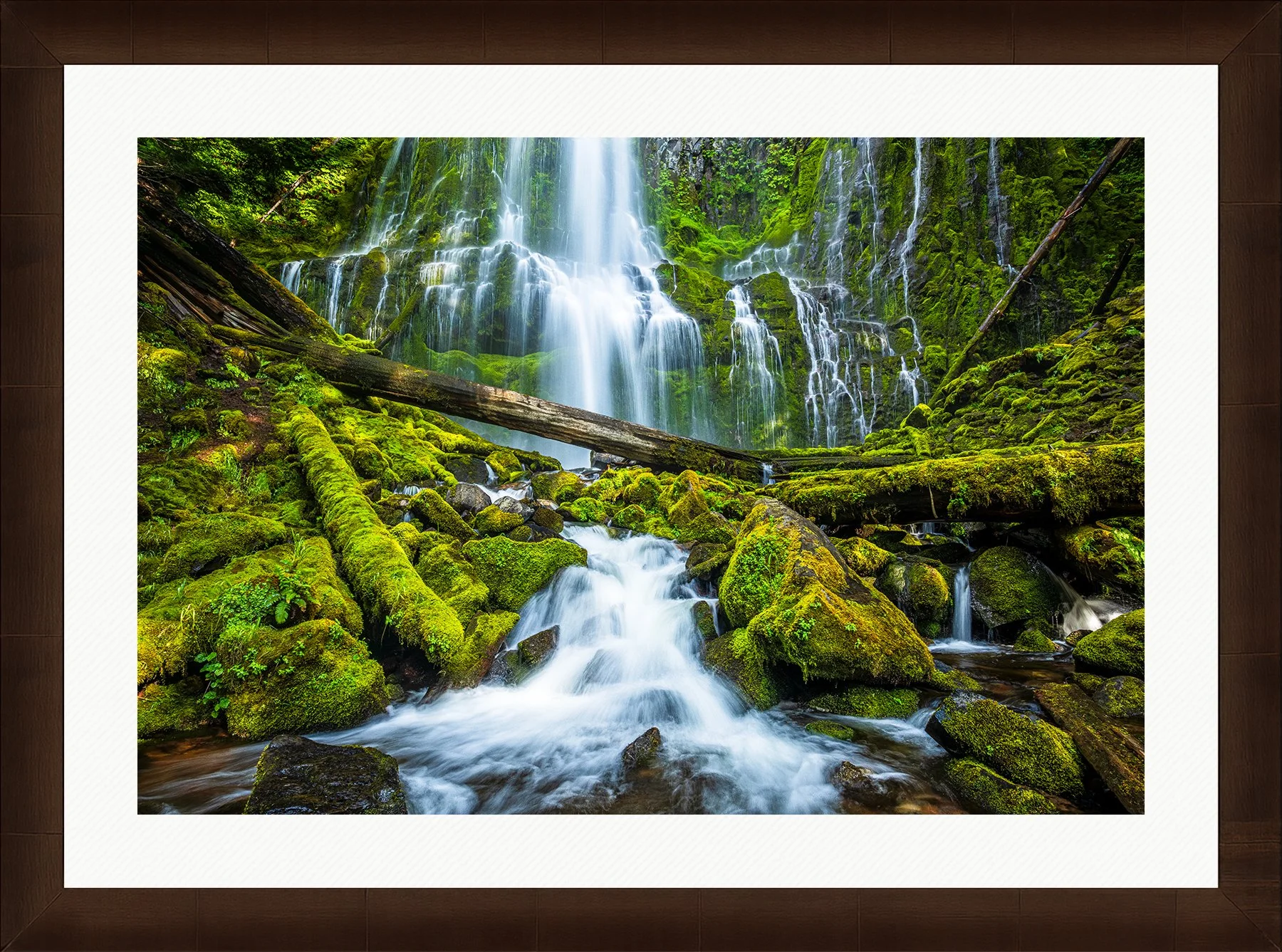 Blake-DeBock-Sanctuary-Framed-Sequoia-Wht-Liner-1800x.jpg