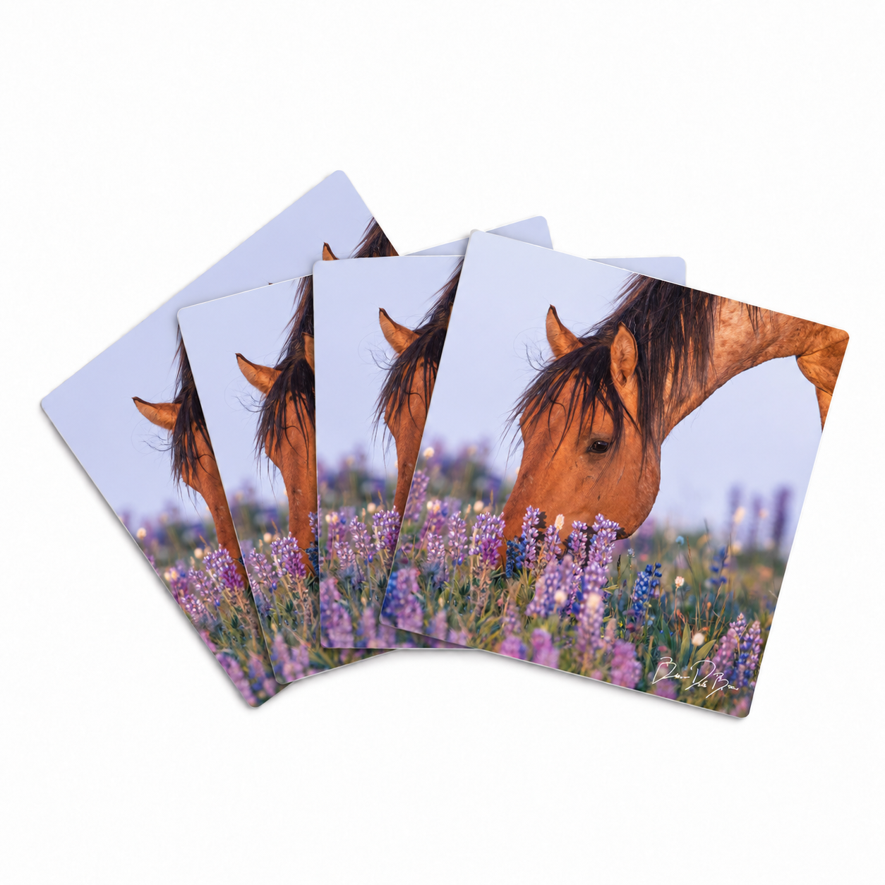WILD HORSE WILDFLOWERS – Coaster Set