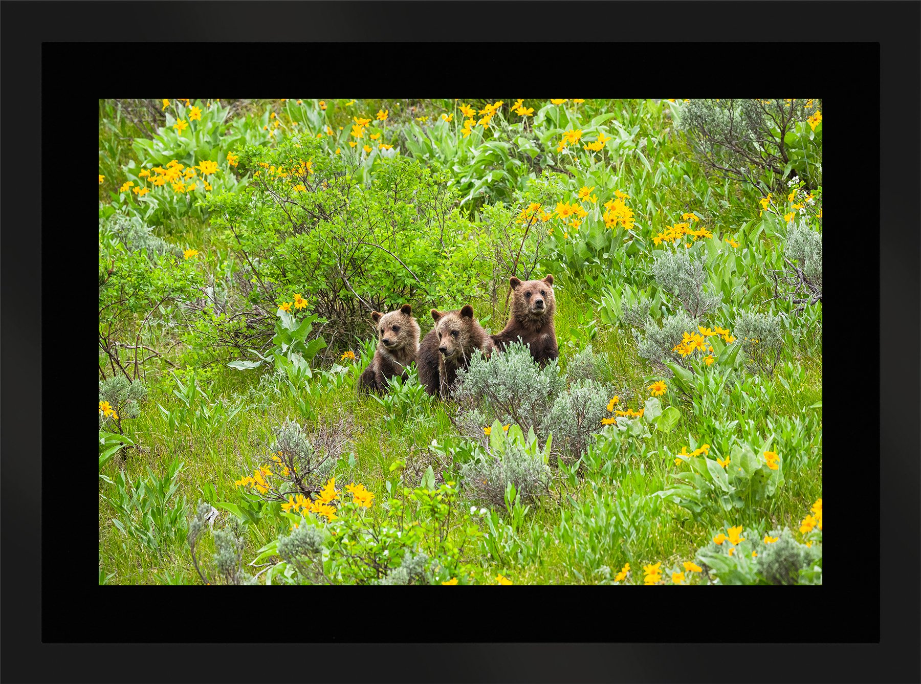 DeBock-Together-In-The-Wildflowers-Framed-Matte-Black-Blk-Liner-1800x.jpg