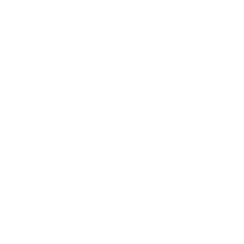X Legio Partners