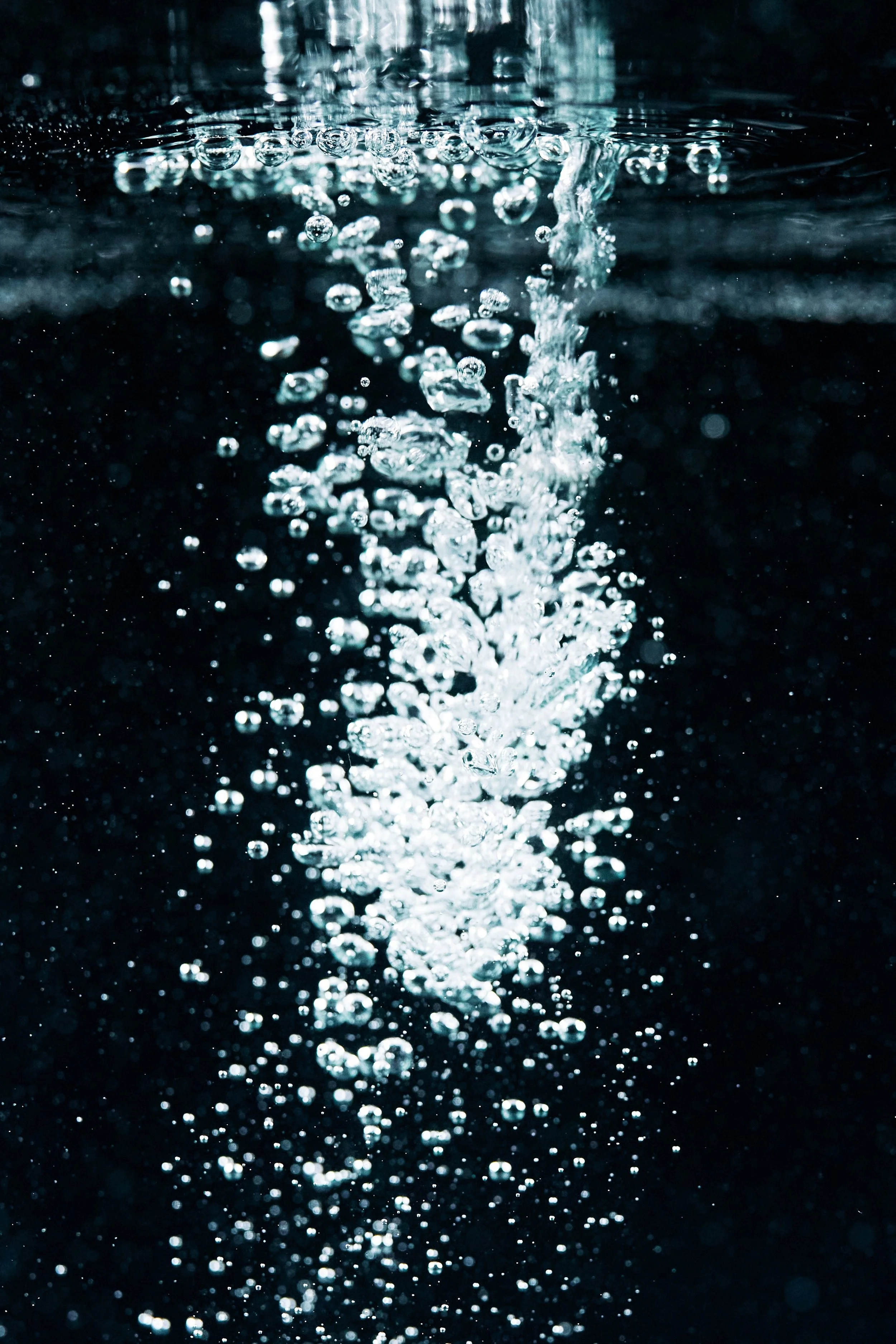 pexels-cottonbro-9667559.jpg