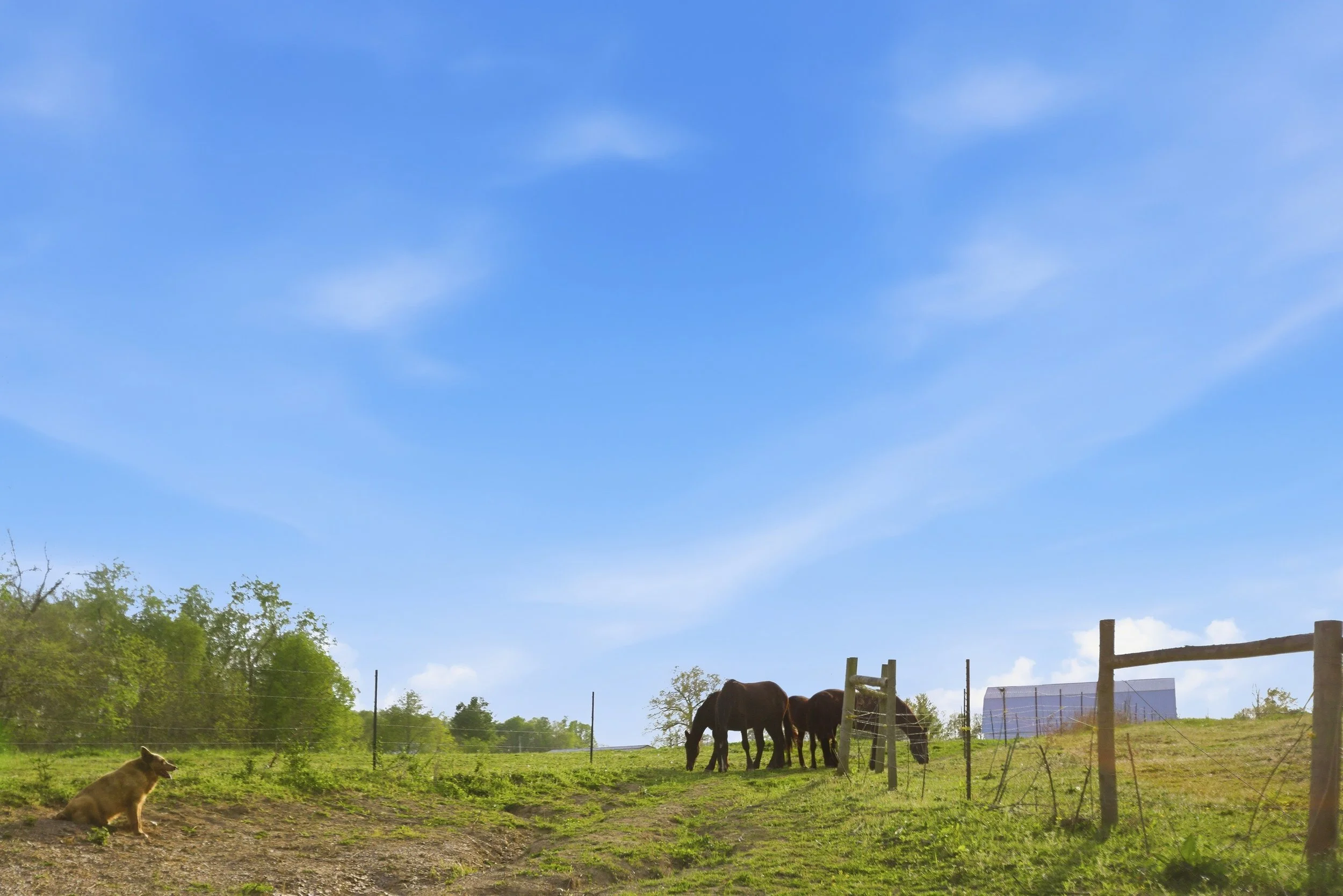 92-print-091Stulltown .jpg