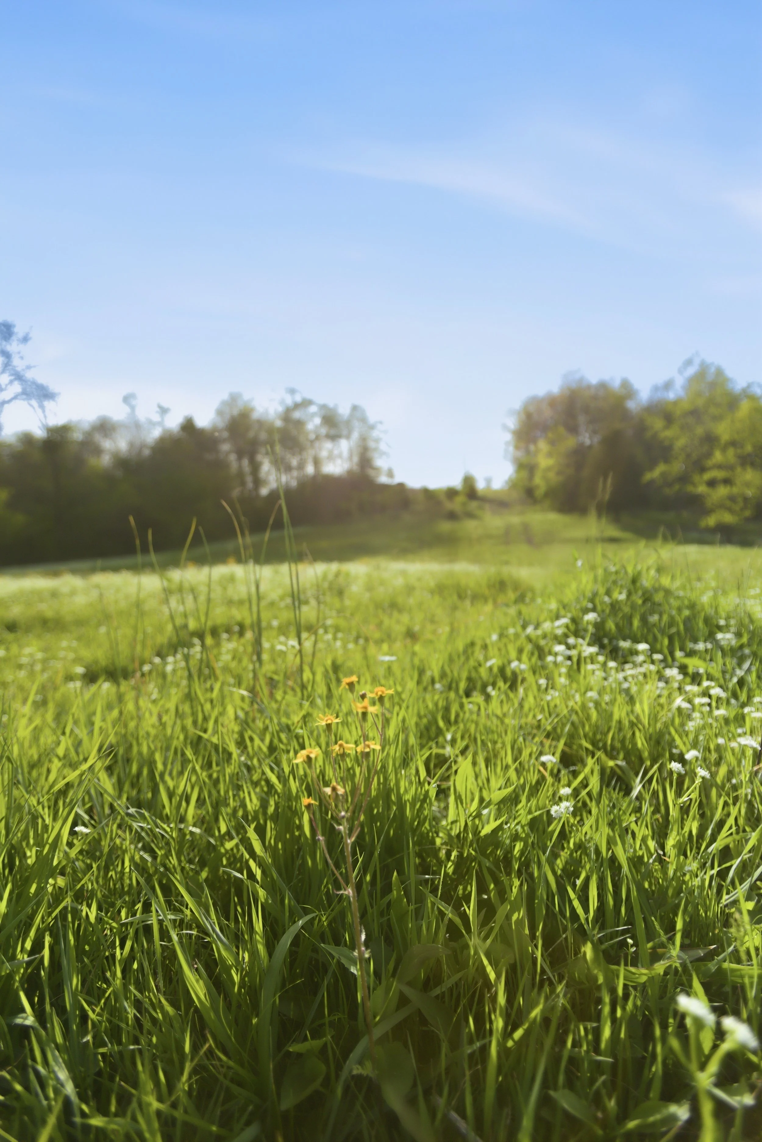 85-print-084Stullton .jpg