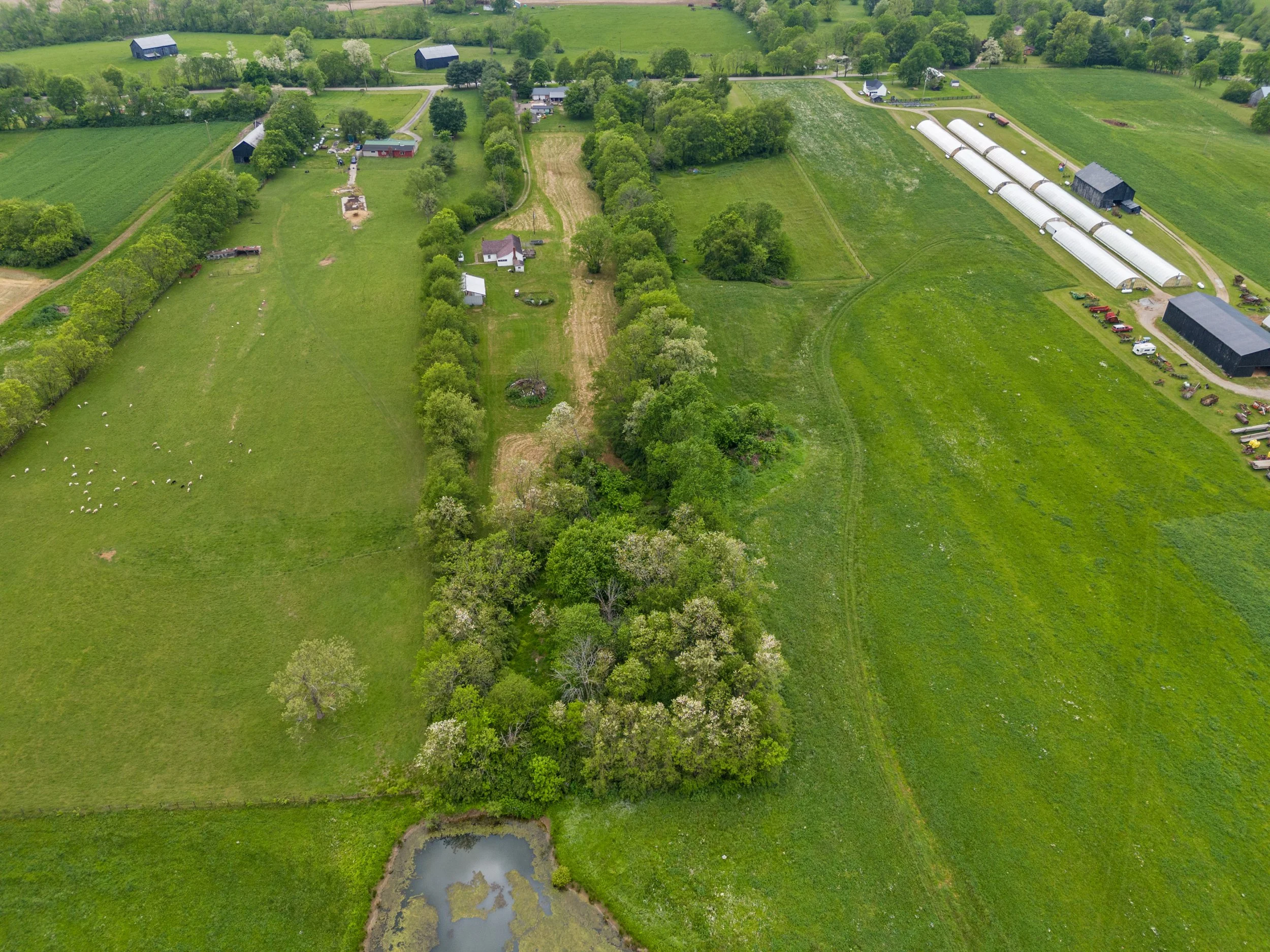 4_dji_20240503153034_0007_d.jpg