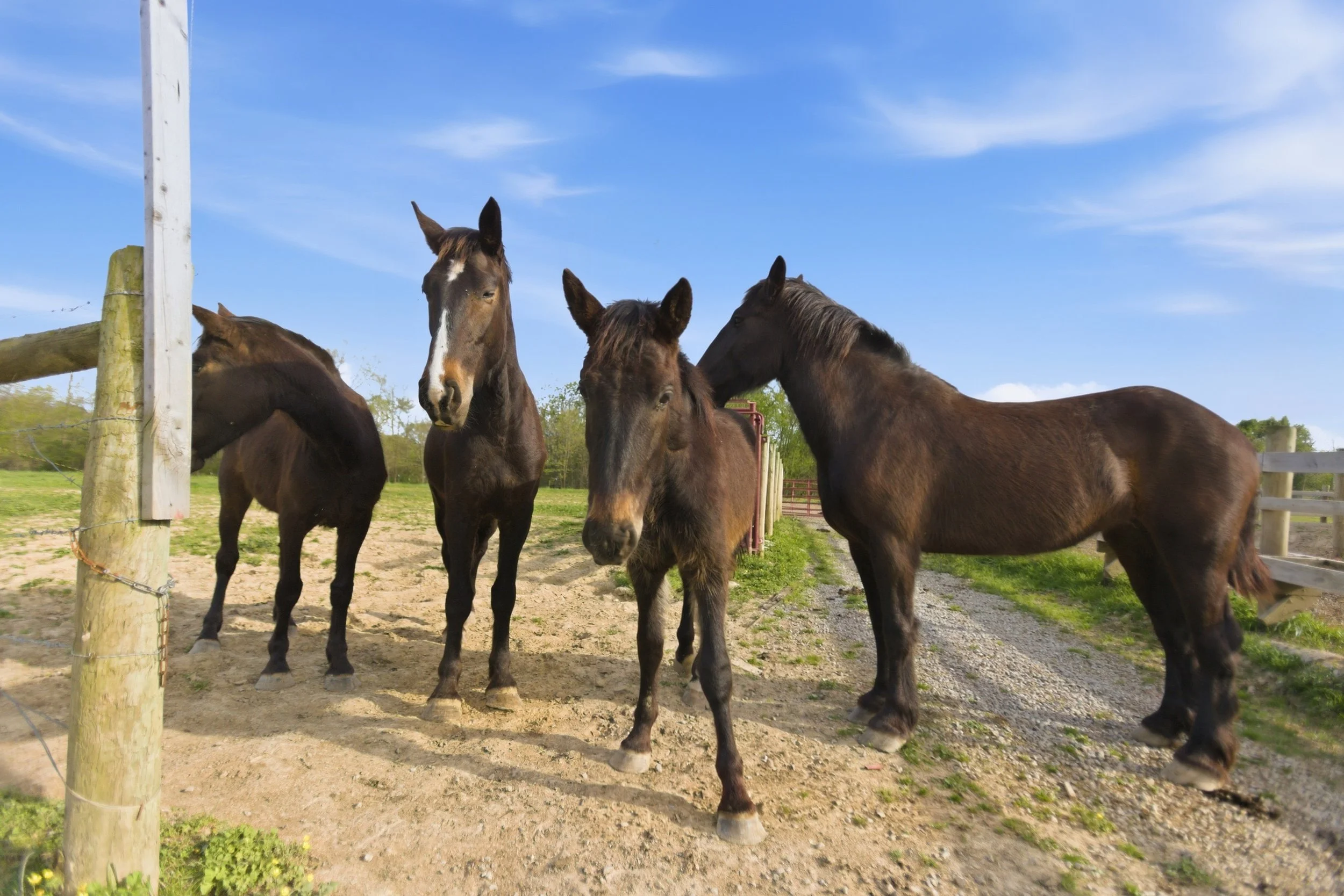 83-print-082Stullton .jpg