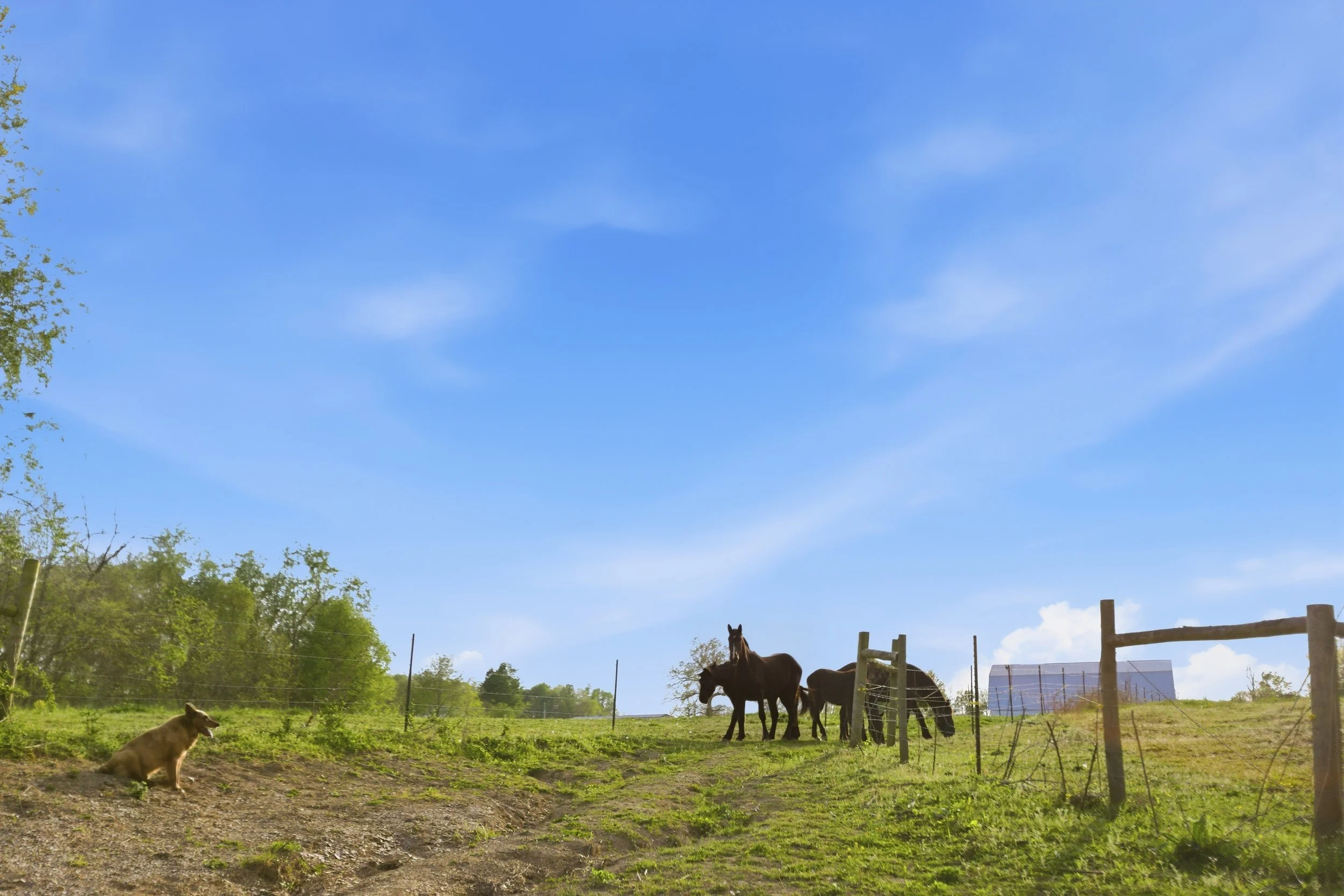 93-print-092Stullton .jpg