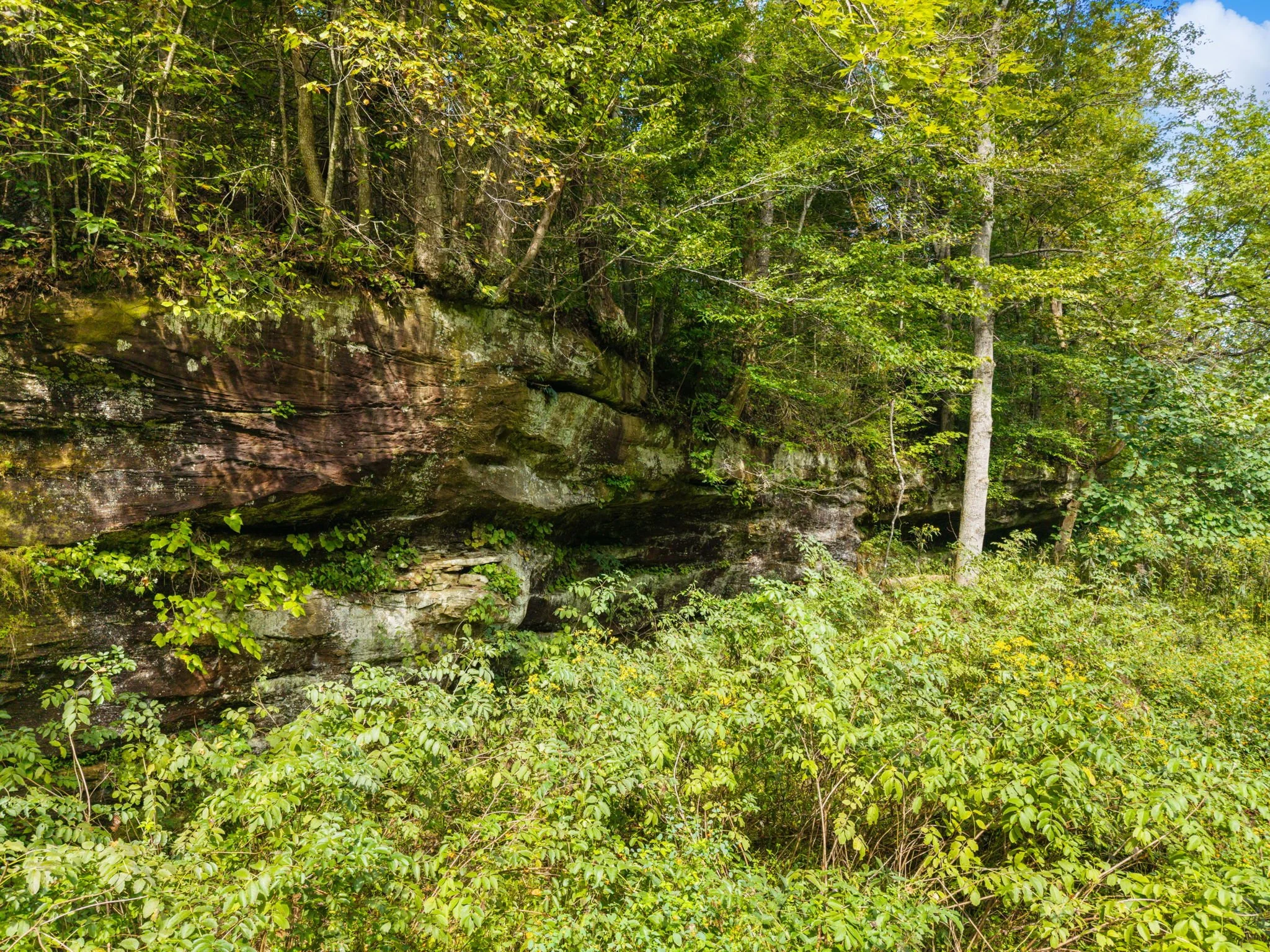 15-web-or-mls-DJI_20260913113743_0038_D.jpg