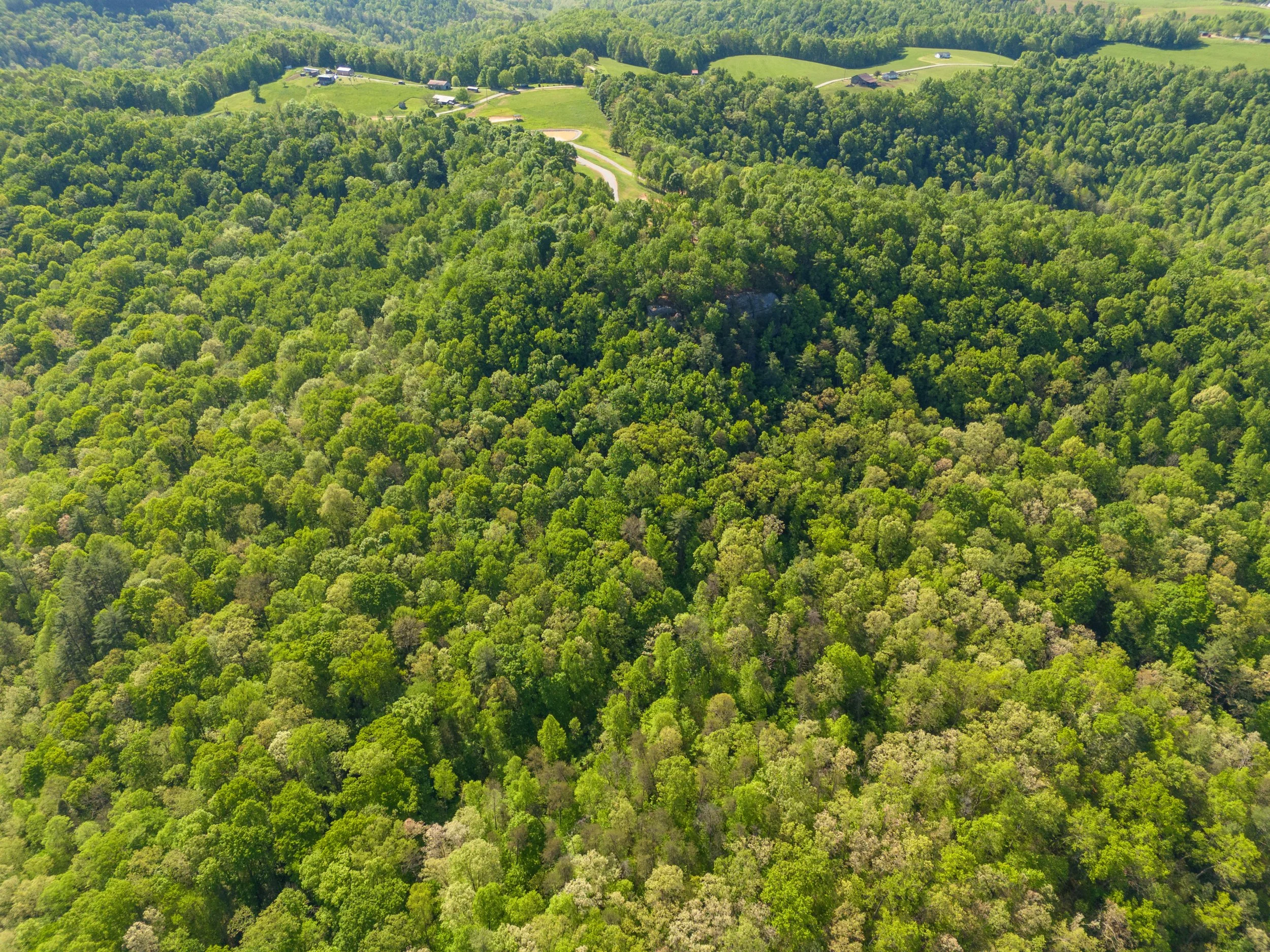 dji_20240502092301_0007_d.jpg