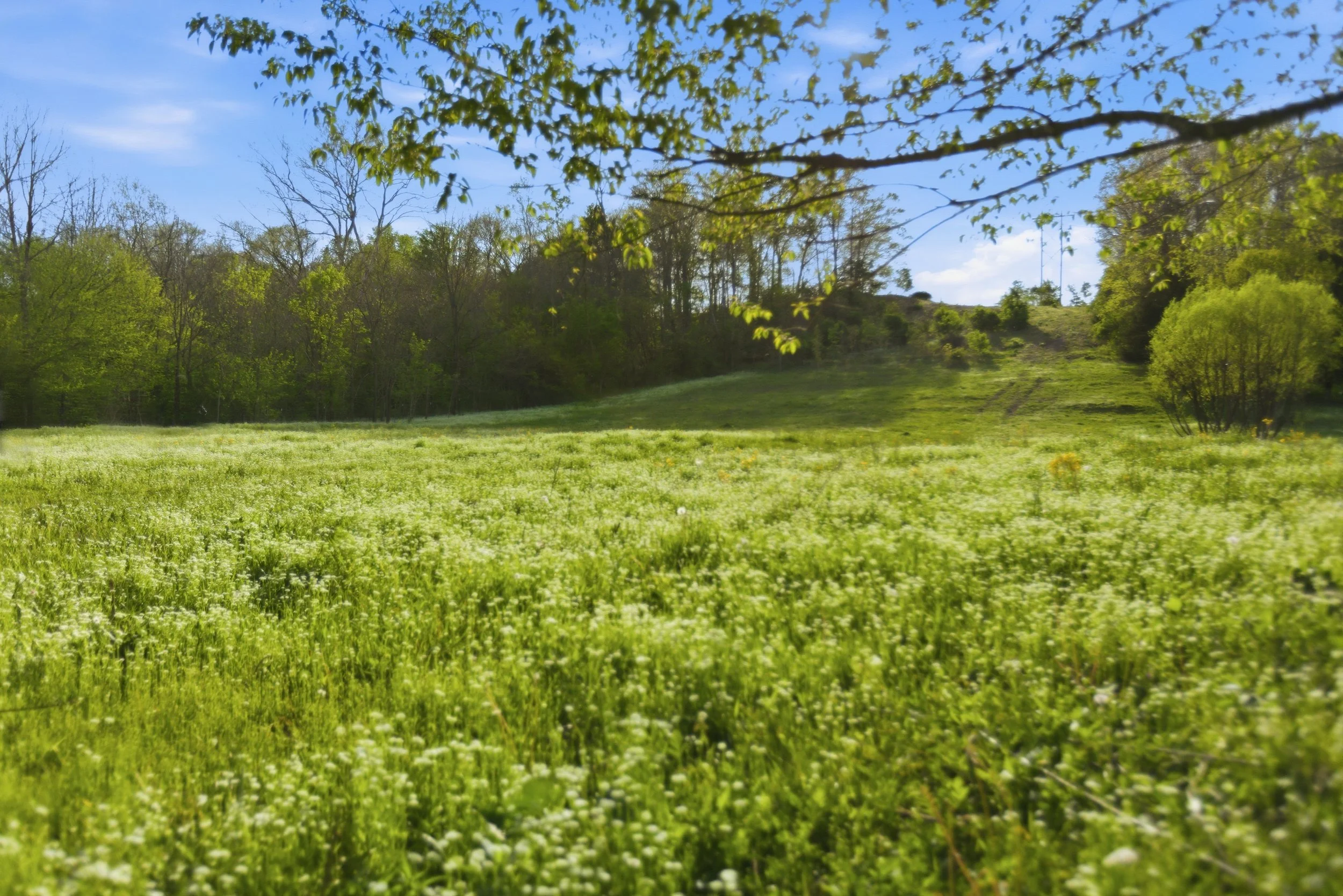 90-print-089Stulltown .jpg