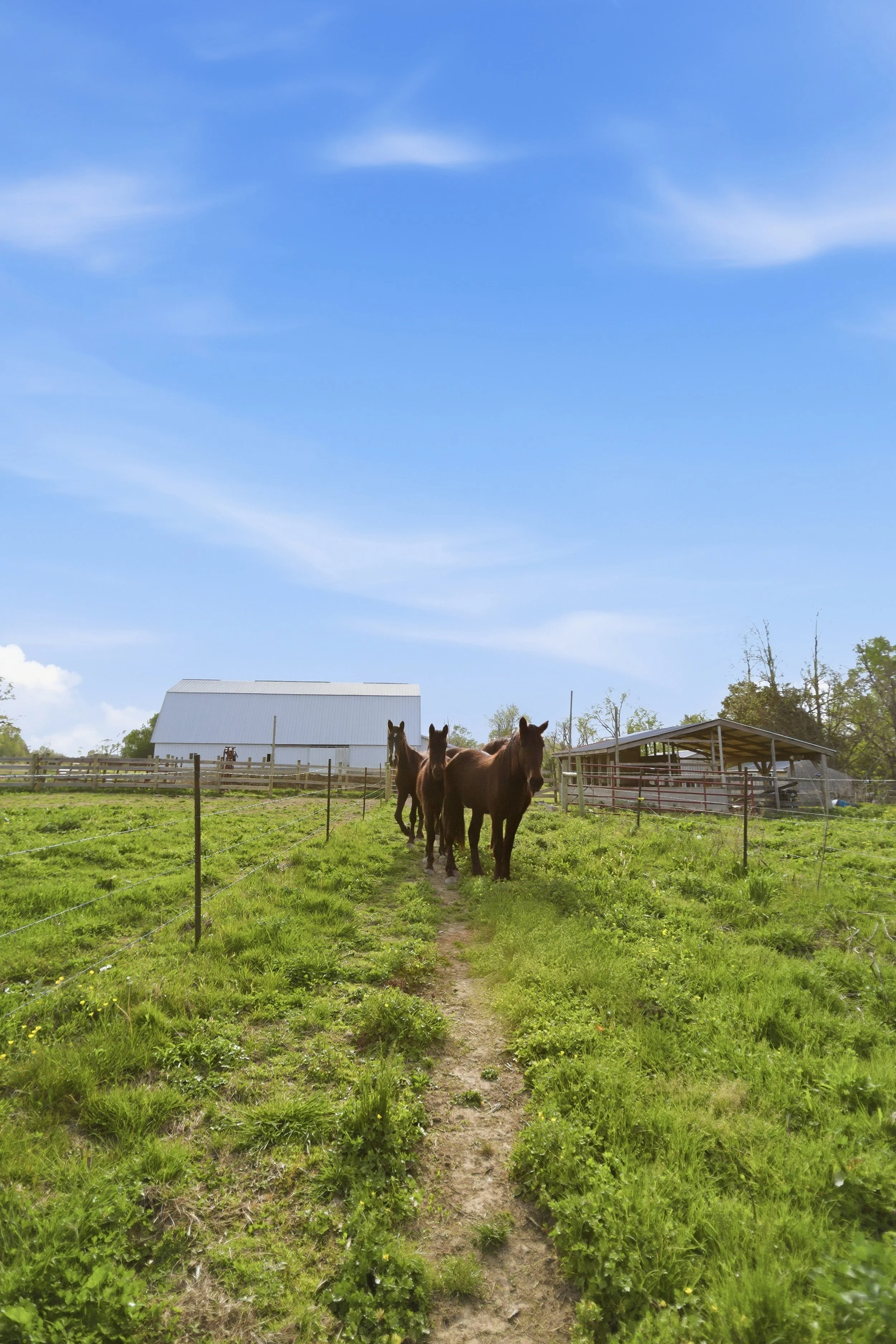 84-print-083Stulltown .jpg