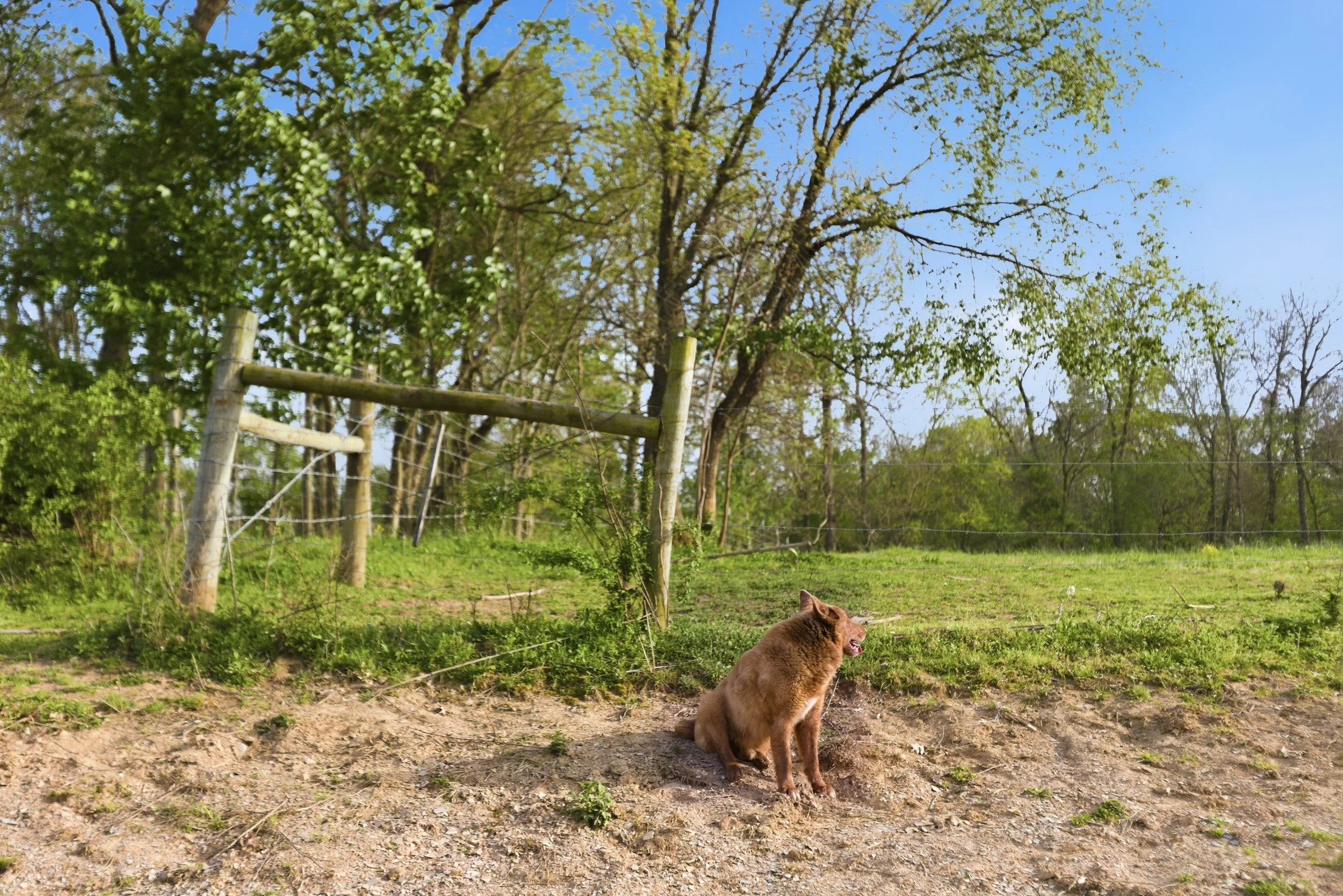 94-print-093Stulltown .jpg