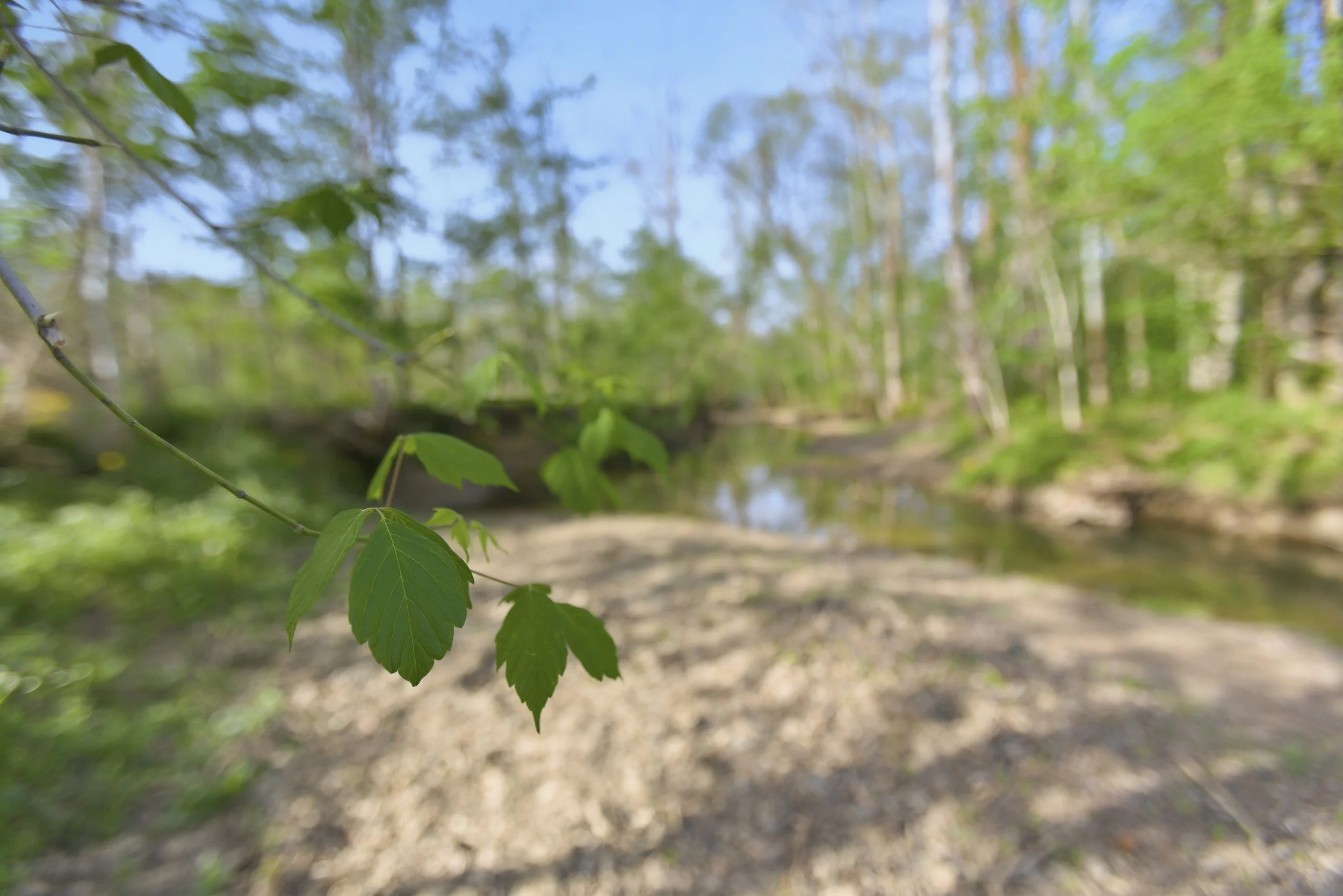 87-print-086Stullton .jpg