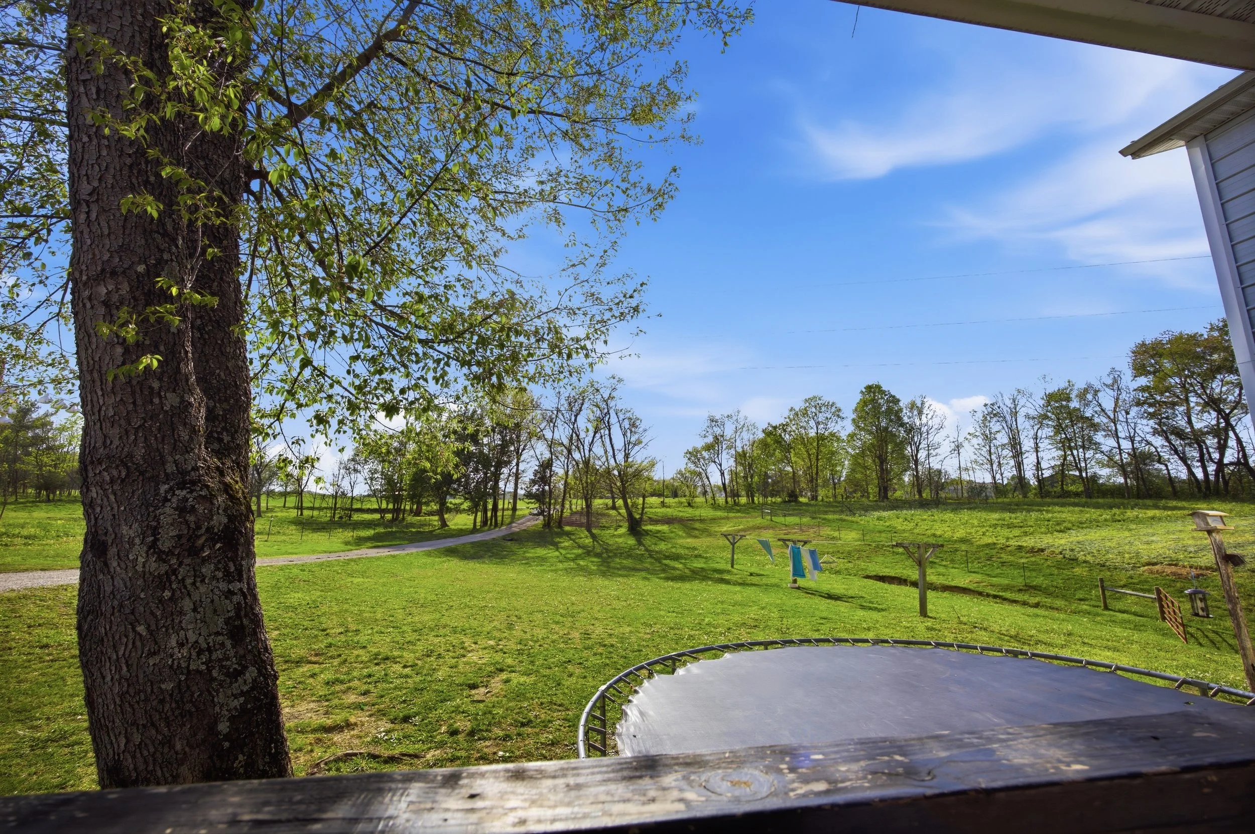 6-print-005Stullton .jpg