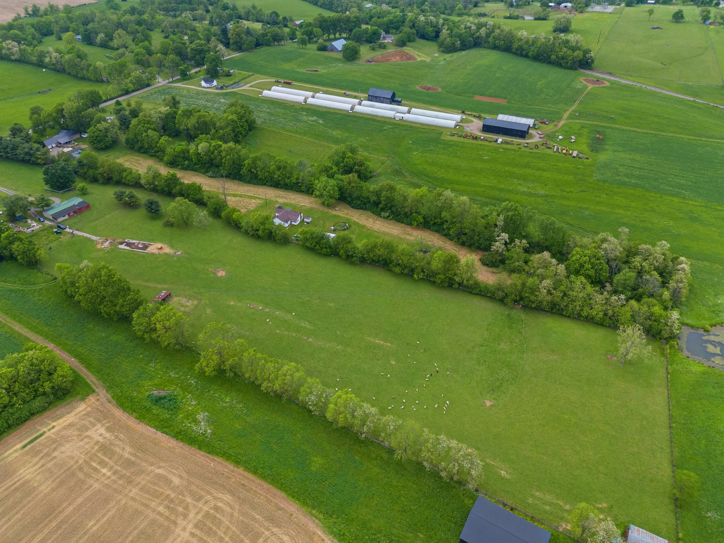 5_dji_20240503153107_0010_d.jpg