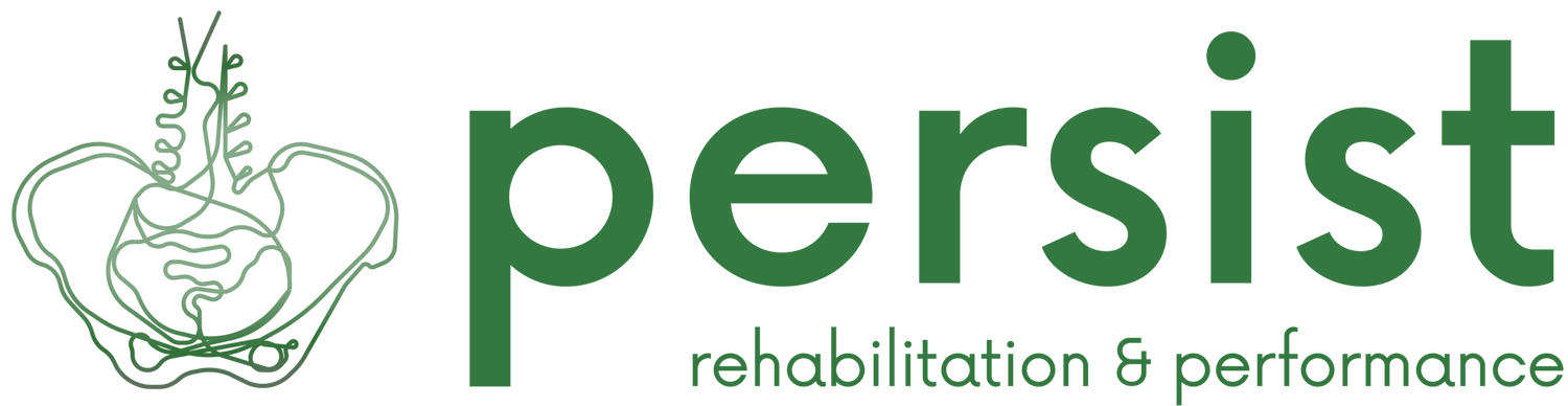 Persist Rehabilitation &amp; Performance