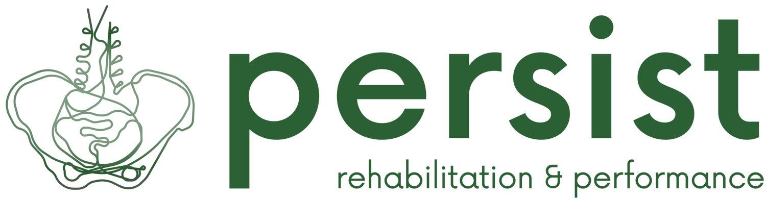 Persist Rehabilitation &amp; Performance