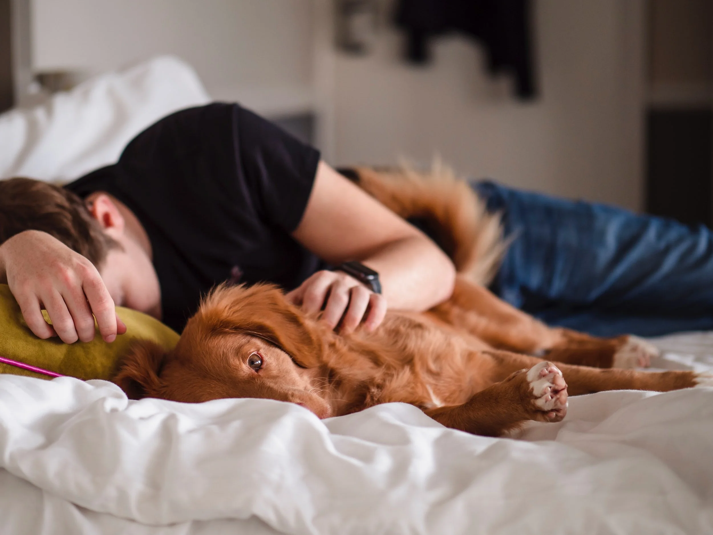 Your Body is a Temple (and so is your dog’s)