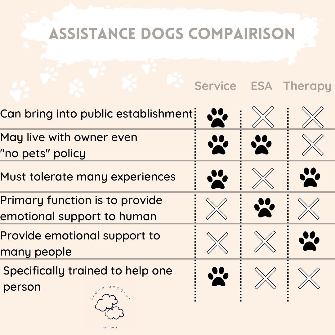 📢 New blog post!

 🐕&ldquo;Assistance dogs 101&rdquo;

Want to learn more about assistance dogs? Check it out on our website Clouddoodles.com 
.
.
.
#assisstancedogs #servicedogs #therapydogs #emotionalsupportdog #therapydog #assisstantdog #dogsare