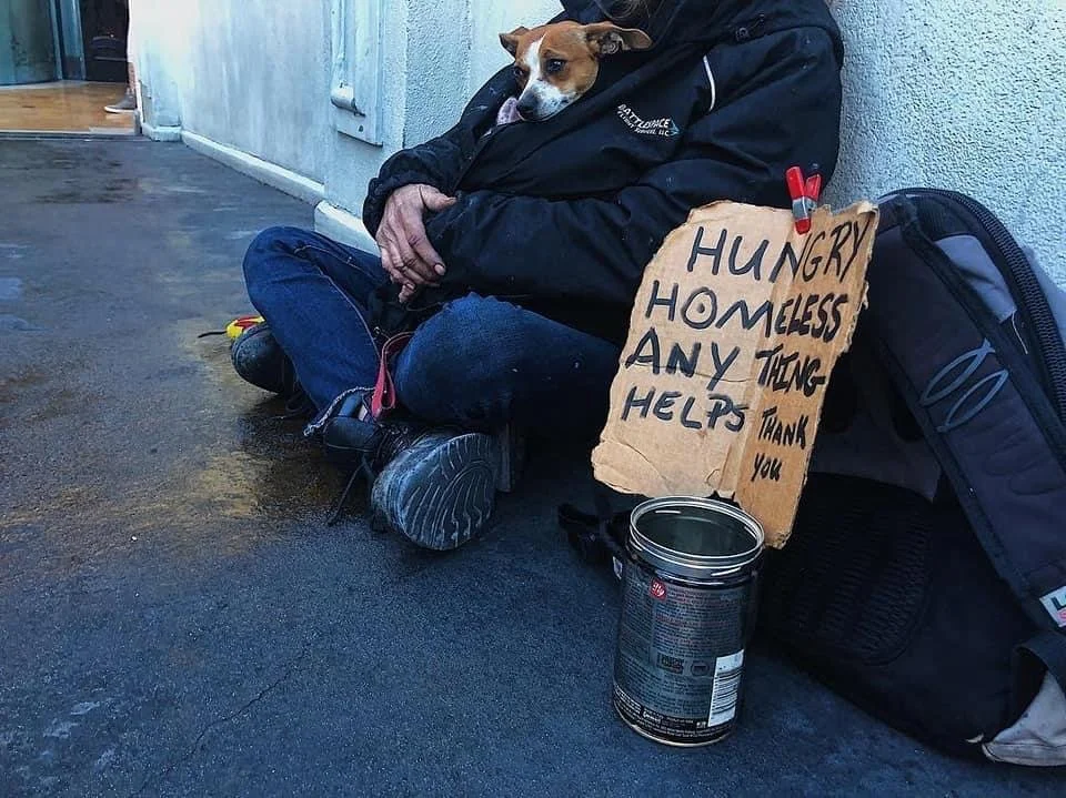 Busting myths about people experiencing homelessness and their dogs
