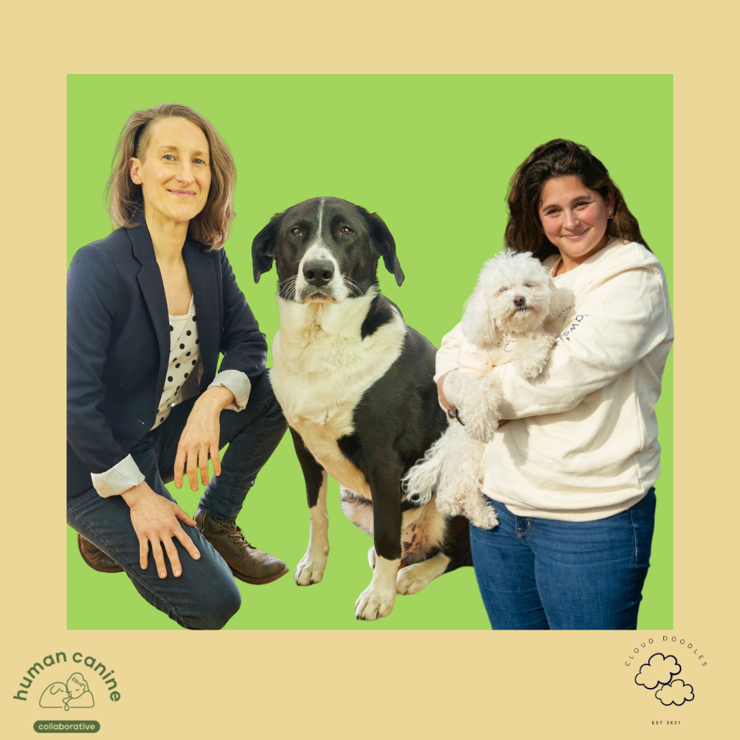 What dogs can teach us : Nuggets of Wisdom