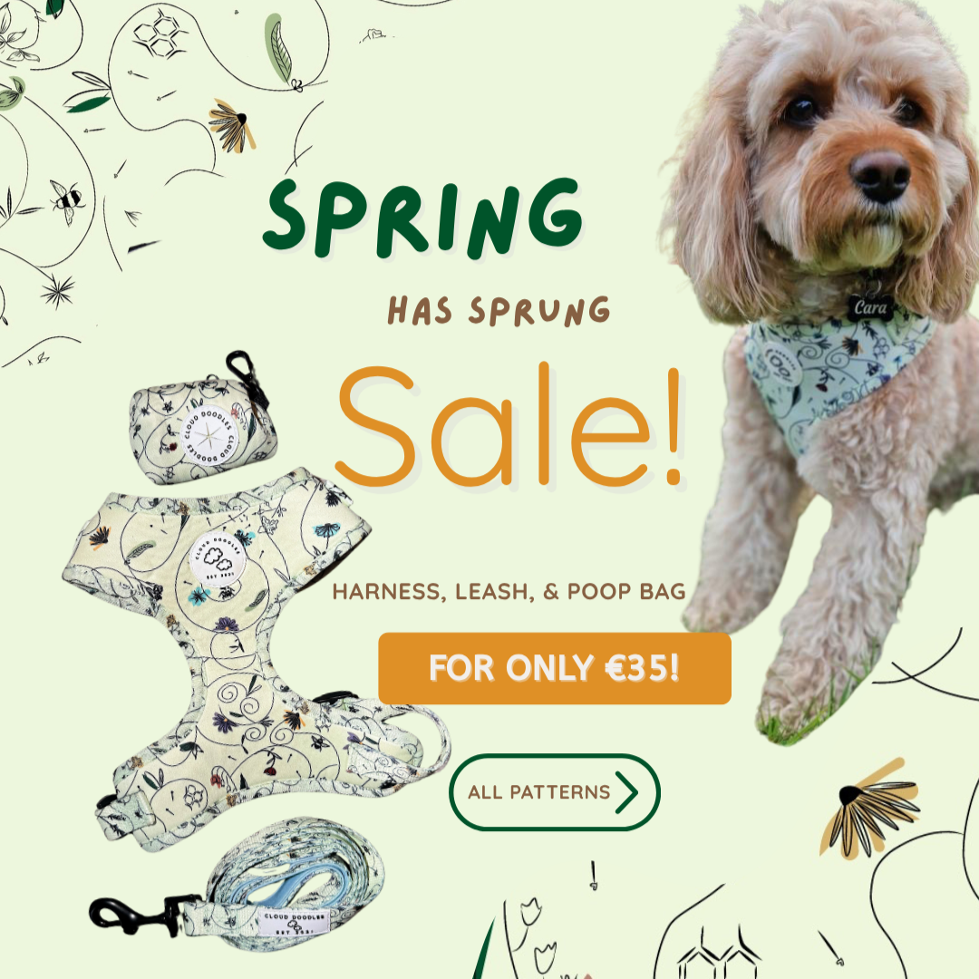 SALE - HARNESS, LEASH, POOP BAG