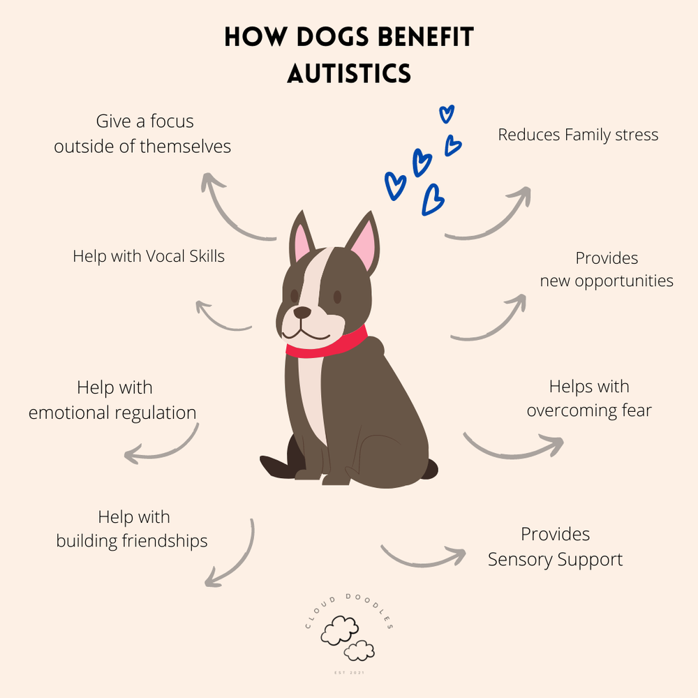 Can Some Dogs Be Autistic can-some-dogs-be-autistic